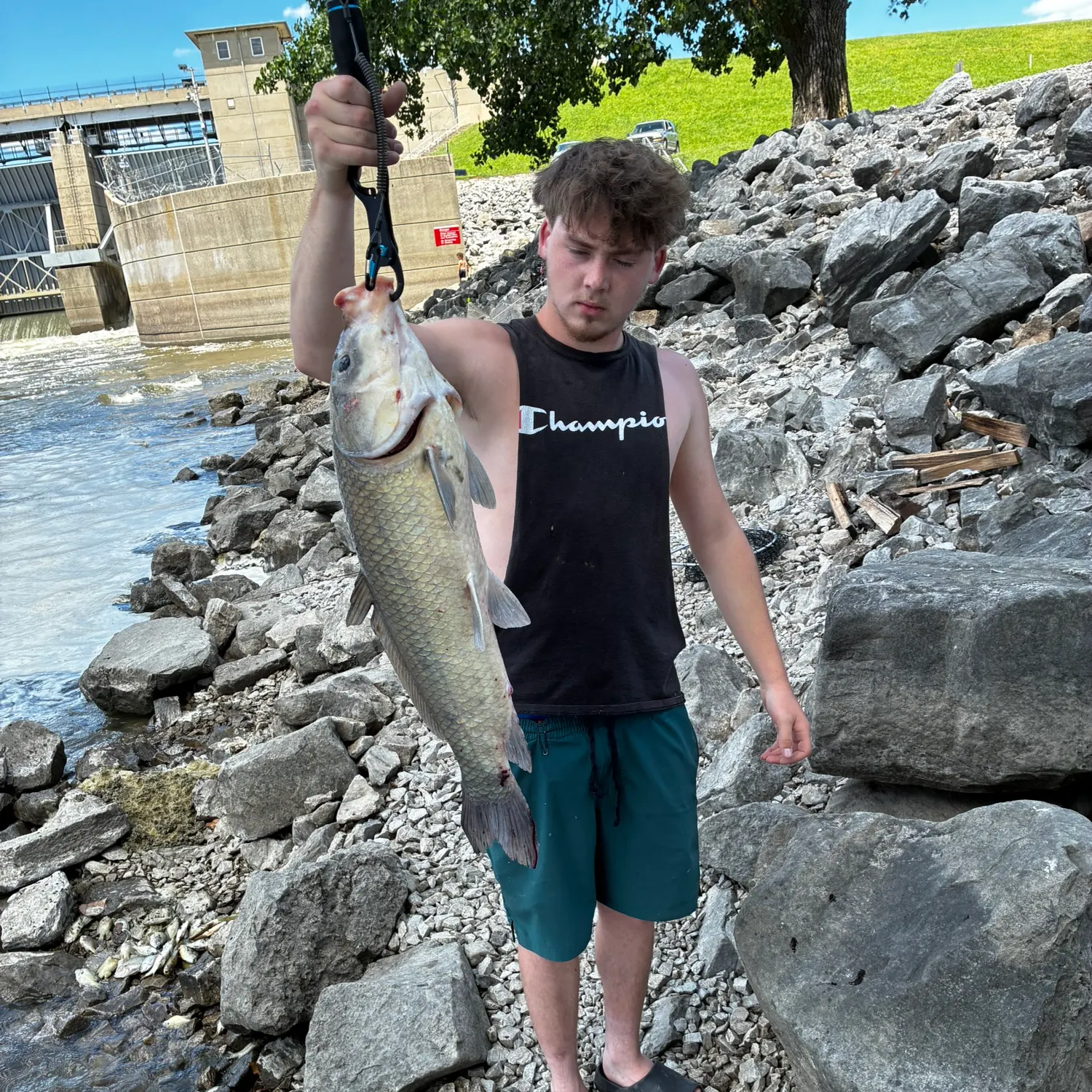 The most recent Black buffalo catches on Fishbrain