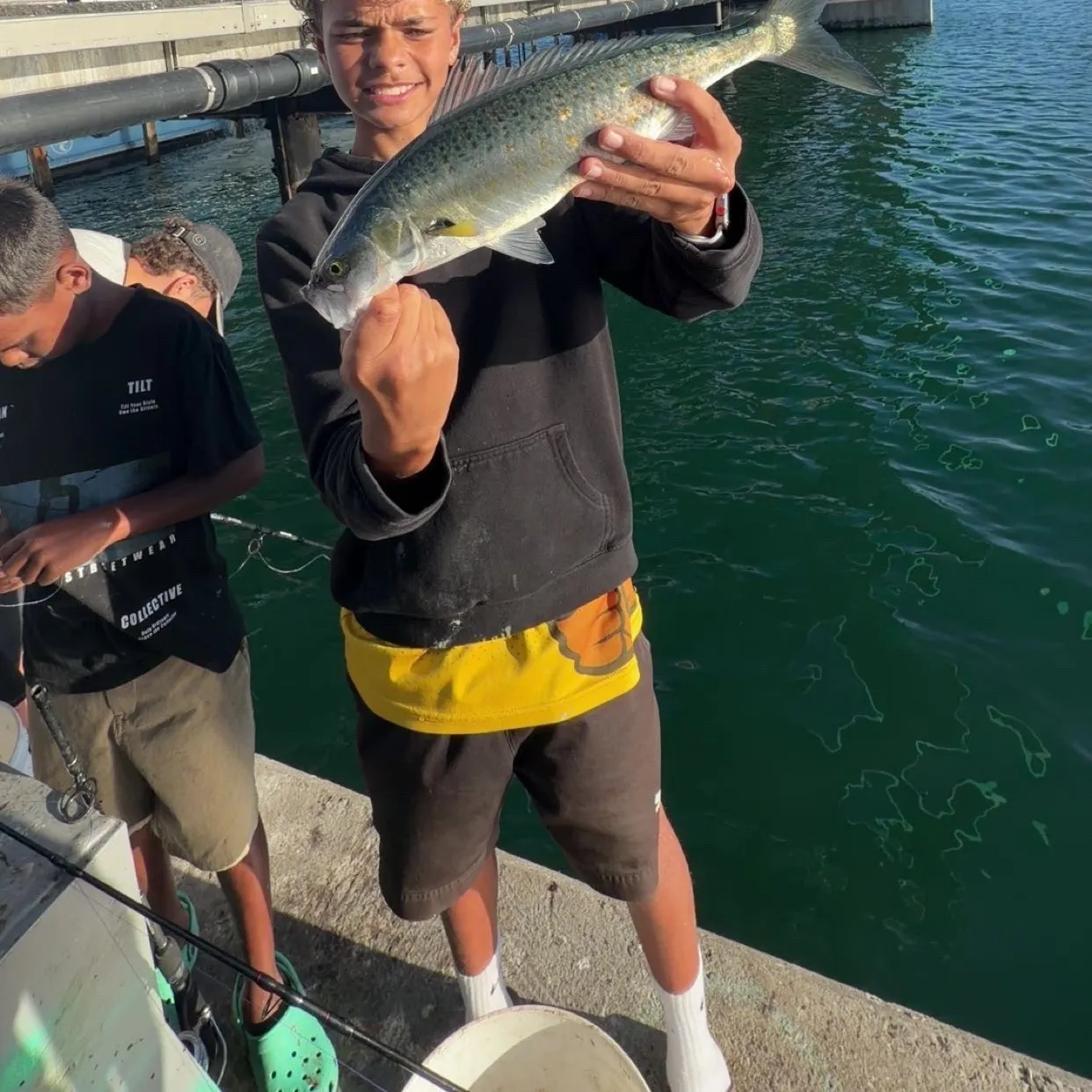 The most recent Western Australian salmon catches on Fishbrain