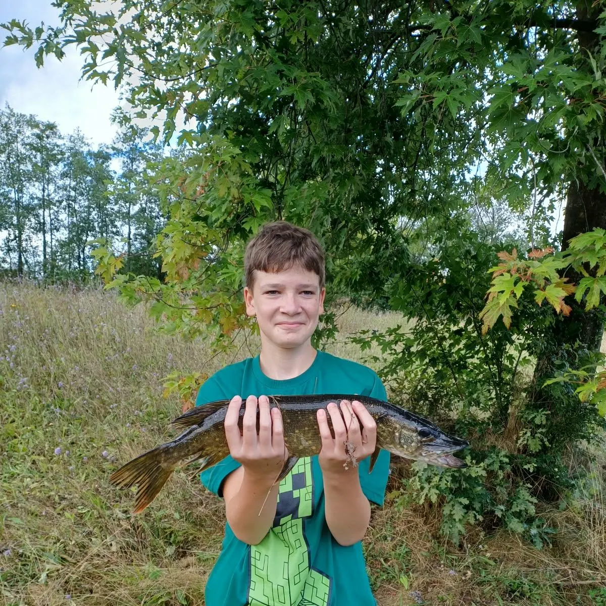 Northern pike caught on Fishbrain