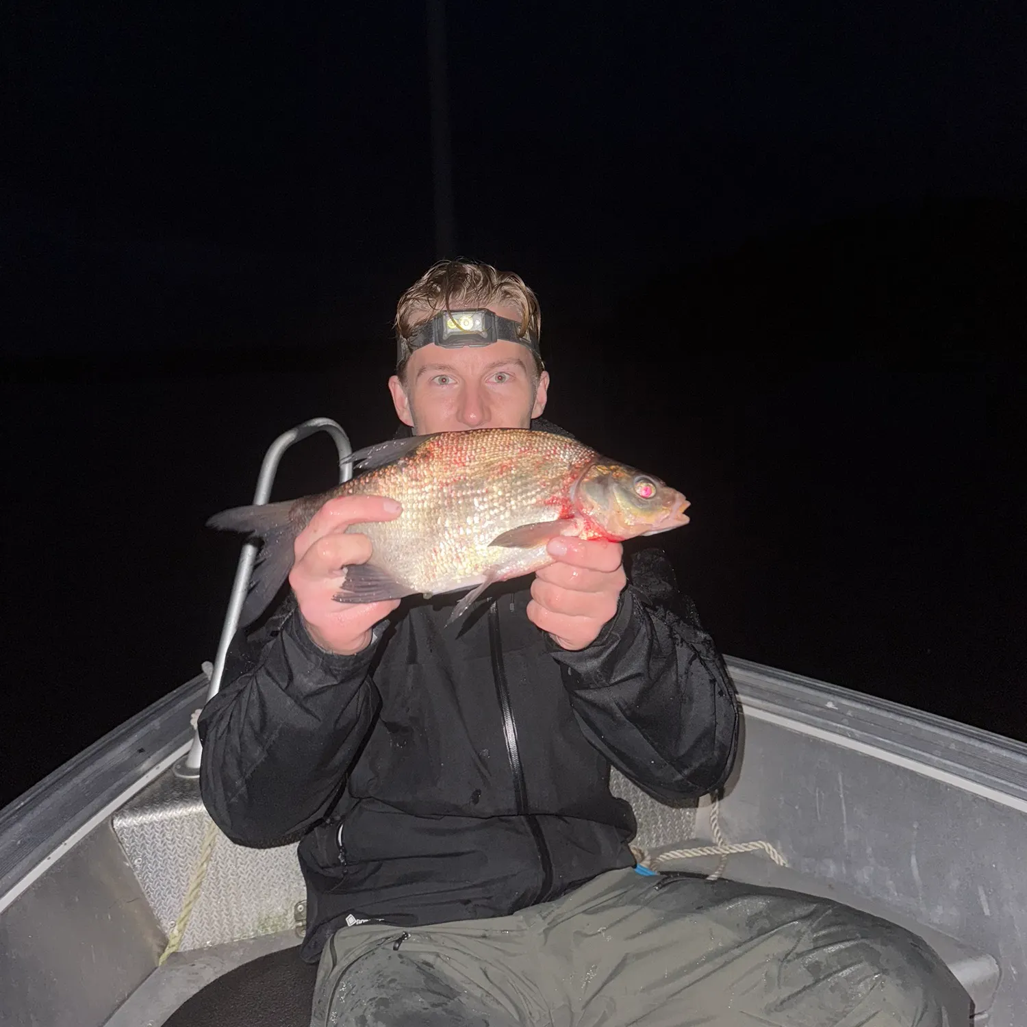 Common bream caught on Fishbrain