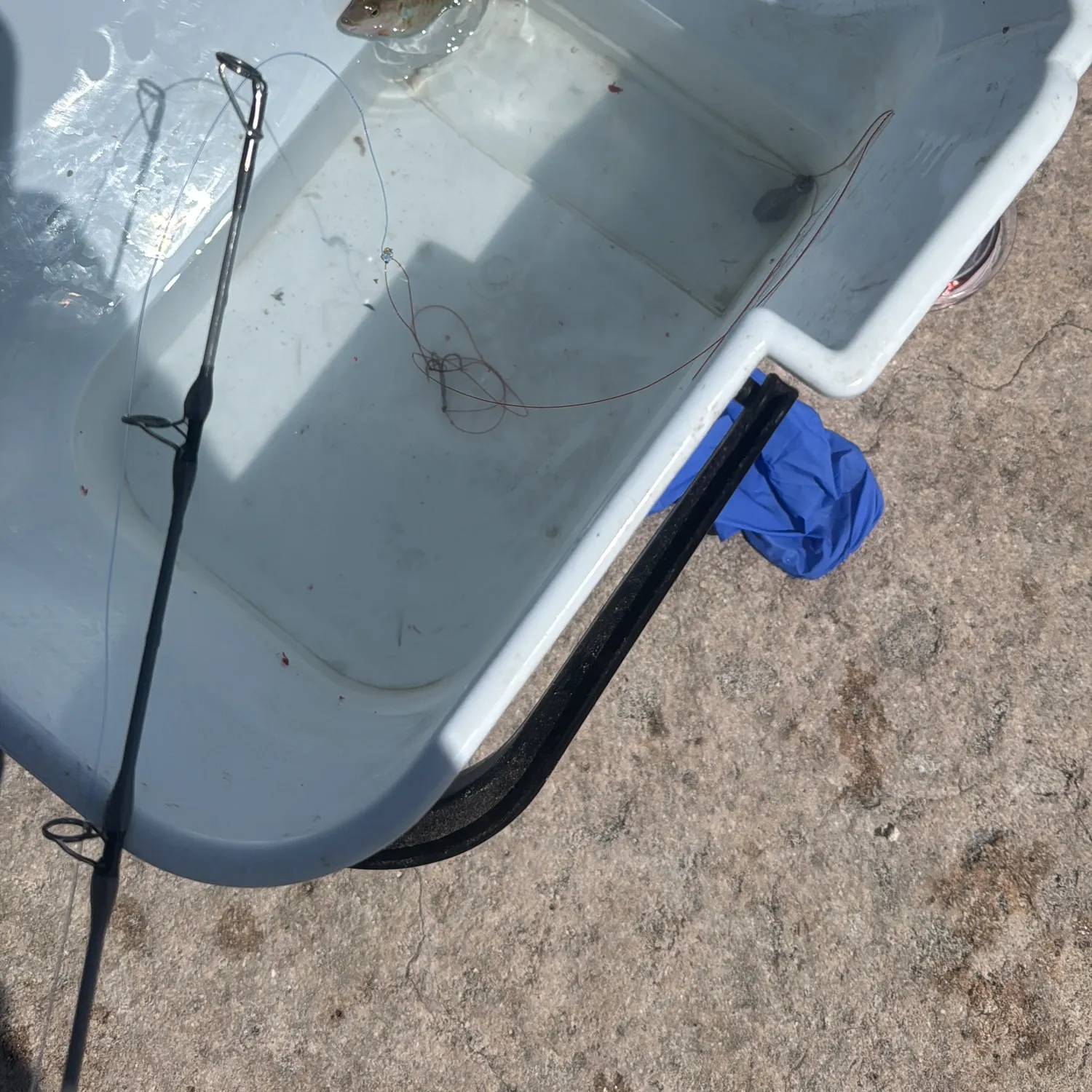 The most recent Slippery dick wrasse catches on Fishbrain