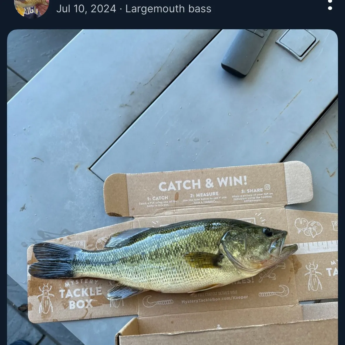 recently logged catches