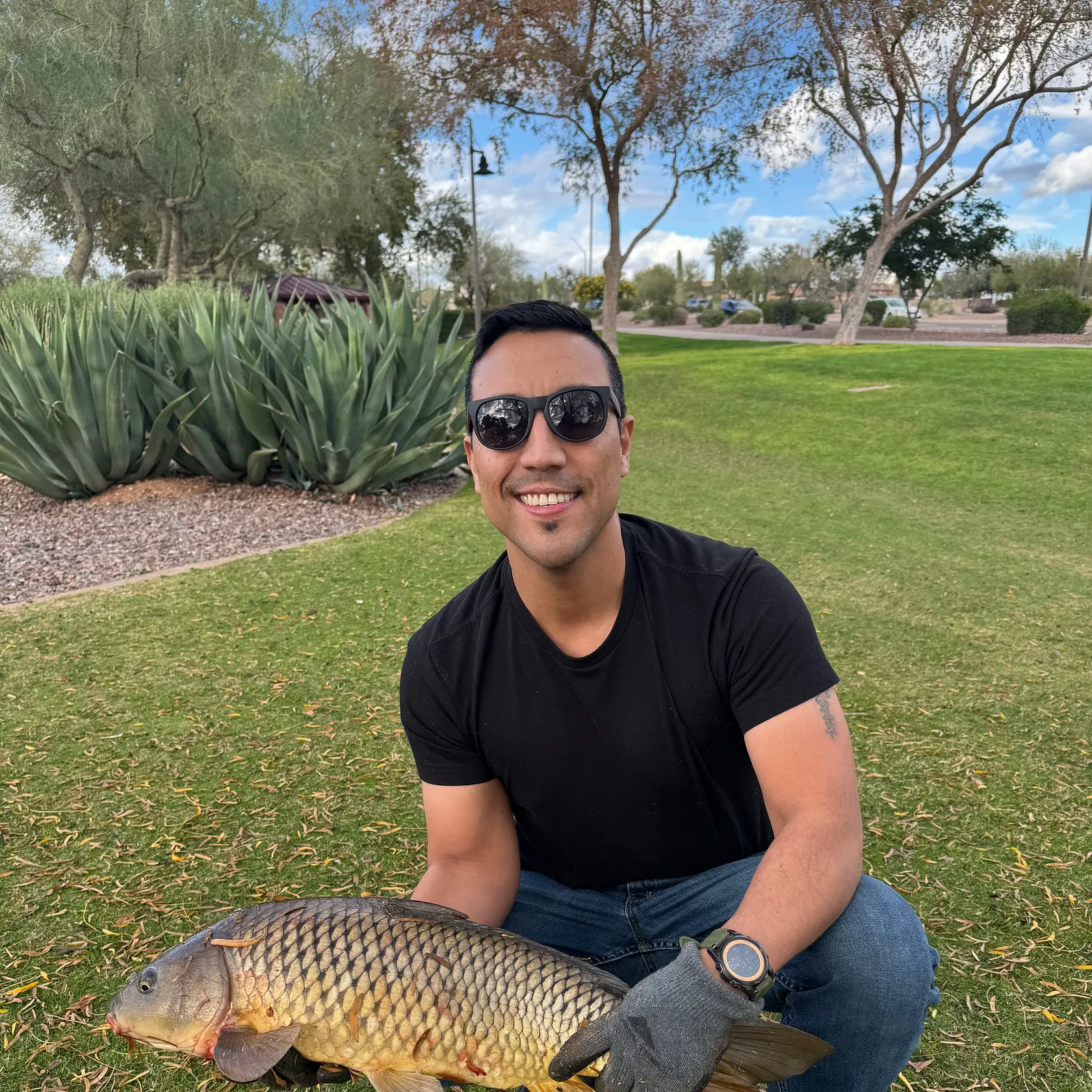 recently logged catches