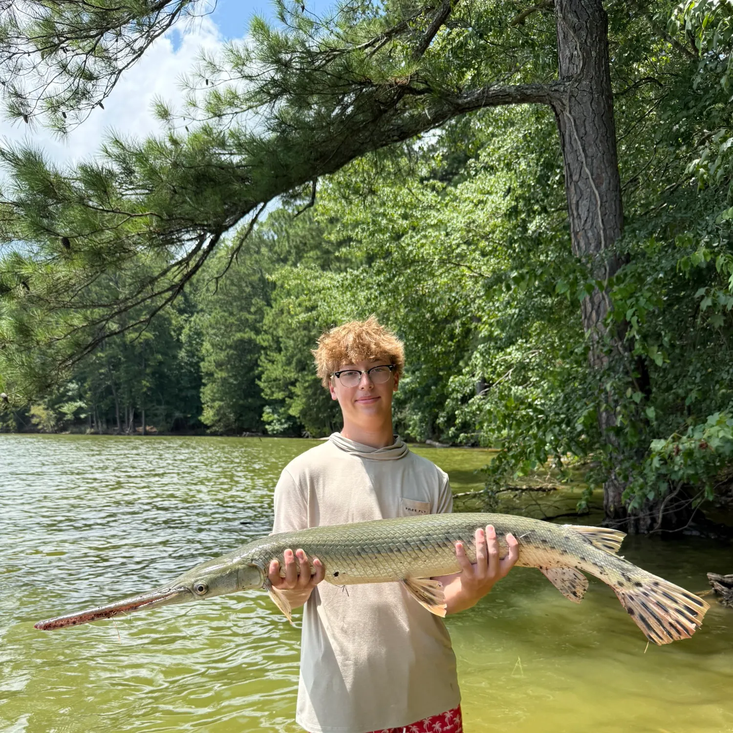 The most recent Longnose gar catches on Fishbrain