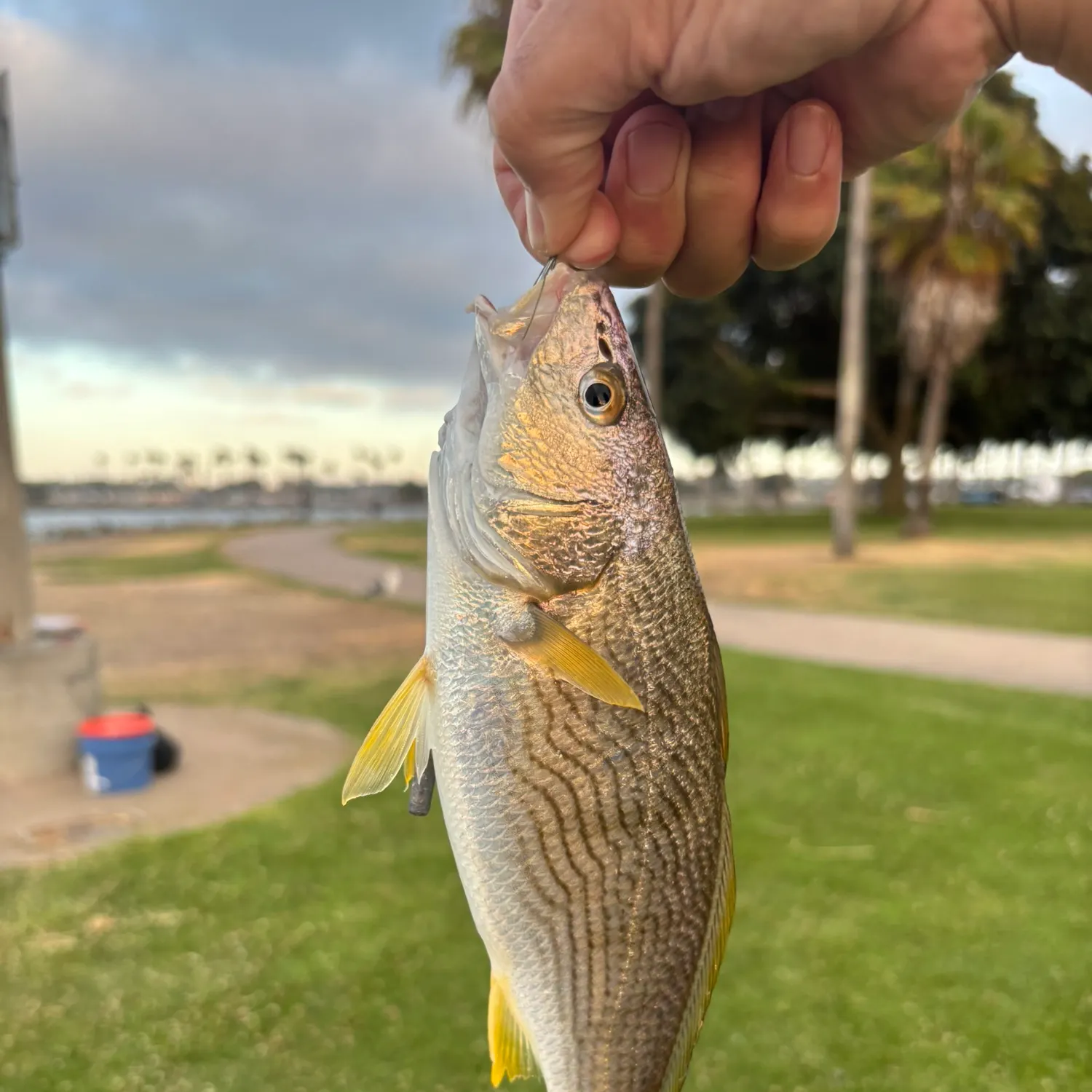 catch