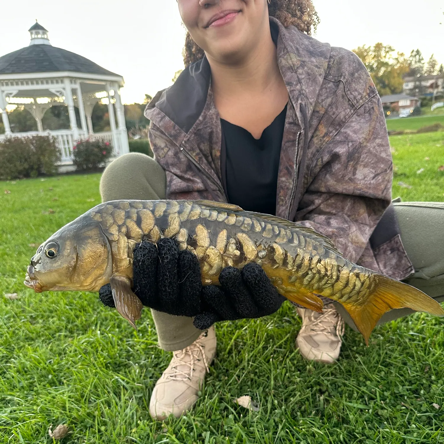 Mirror carp caught on Fishbrain