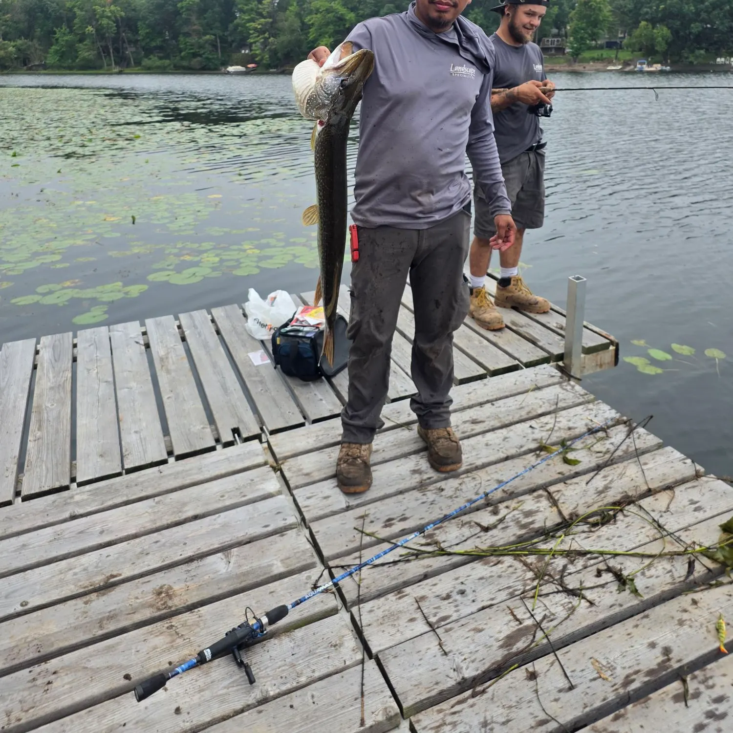 Northern pike caught on Fishbrain