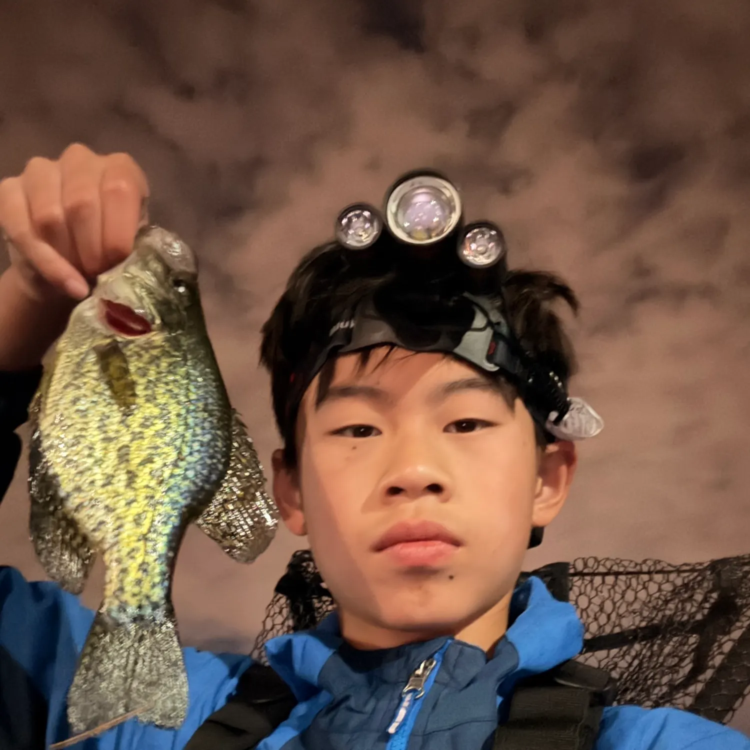 Black crappie caught on Fishbrain