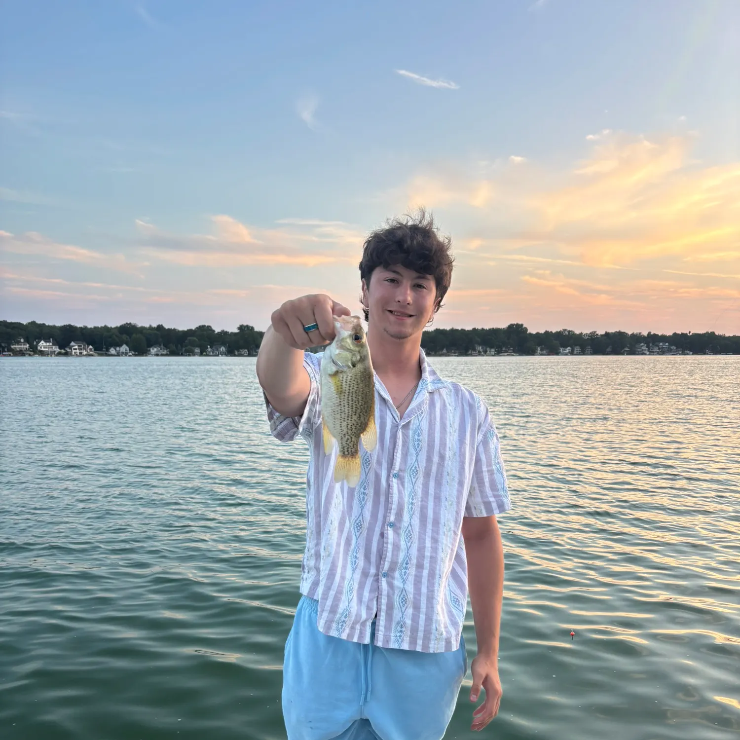 Rock bass caught on Fishbrain