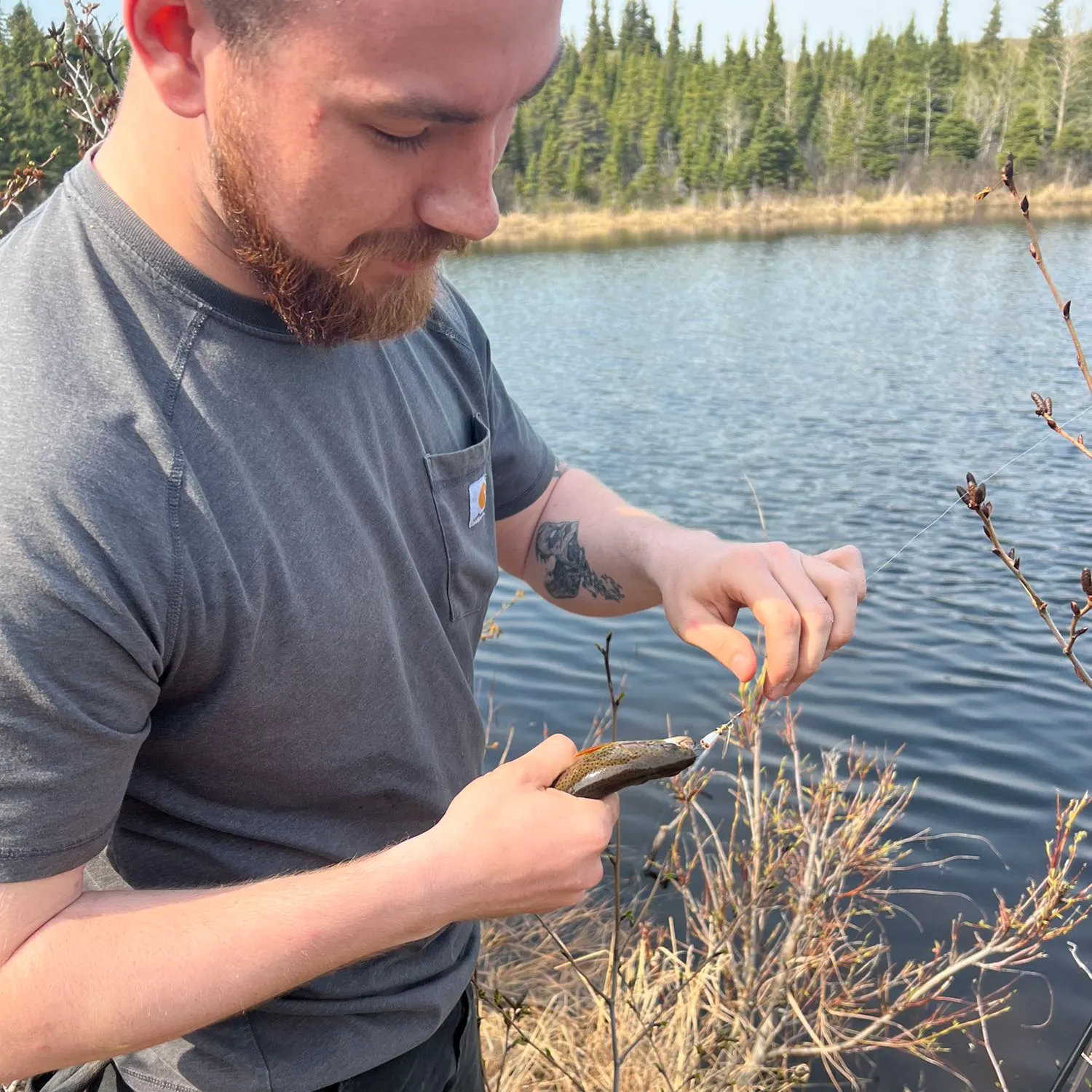 recently logged catches