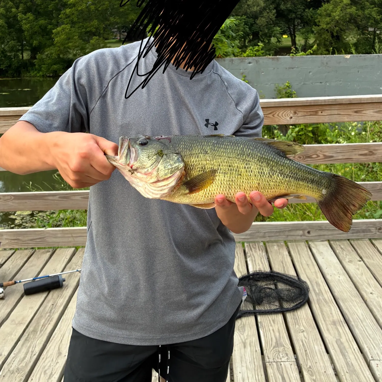 Largemouth bass caught on Fishbrain