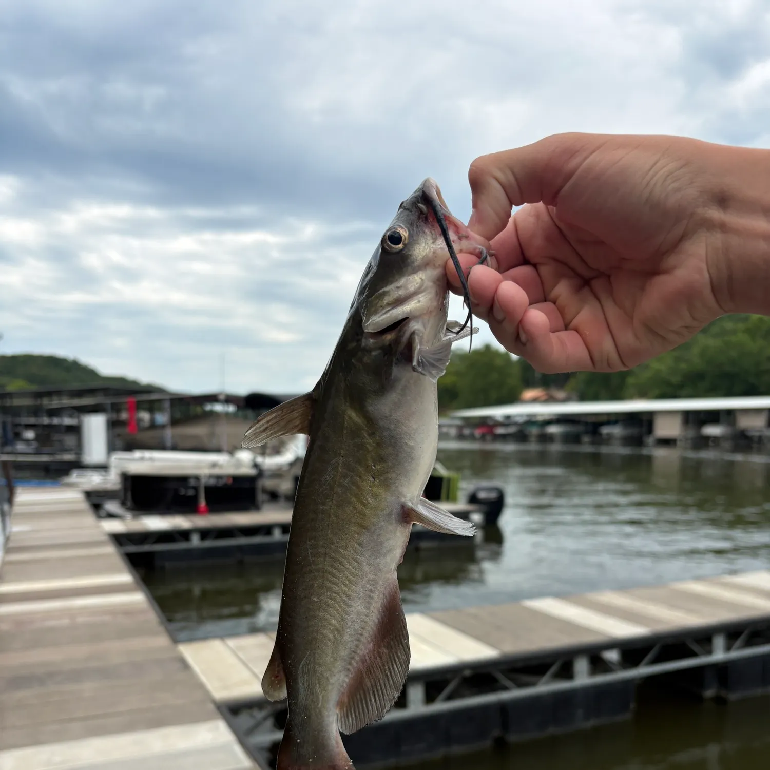 catch