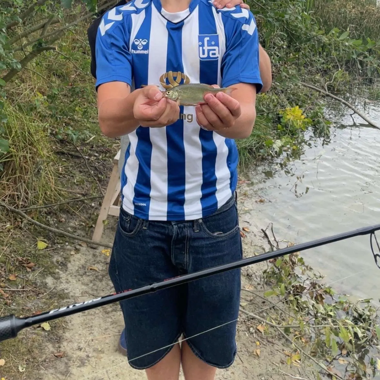 Common roach caught on Fishbrain