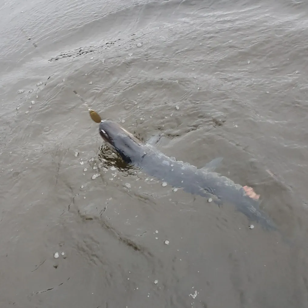 ᐅ Eagle Pond fishing reports🎣• Malone, NY (United States) fishing