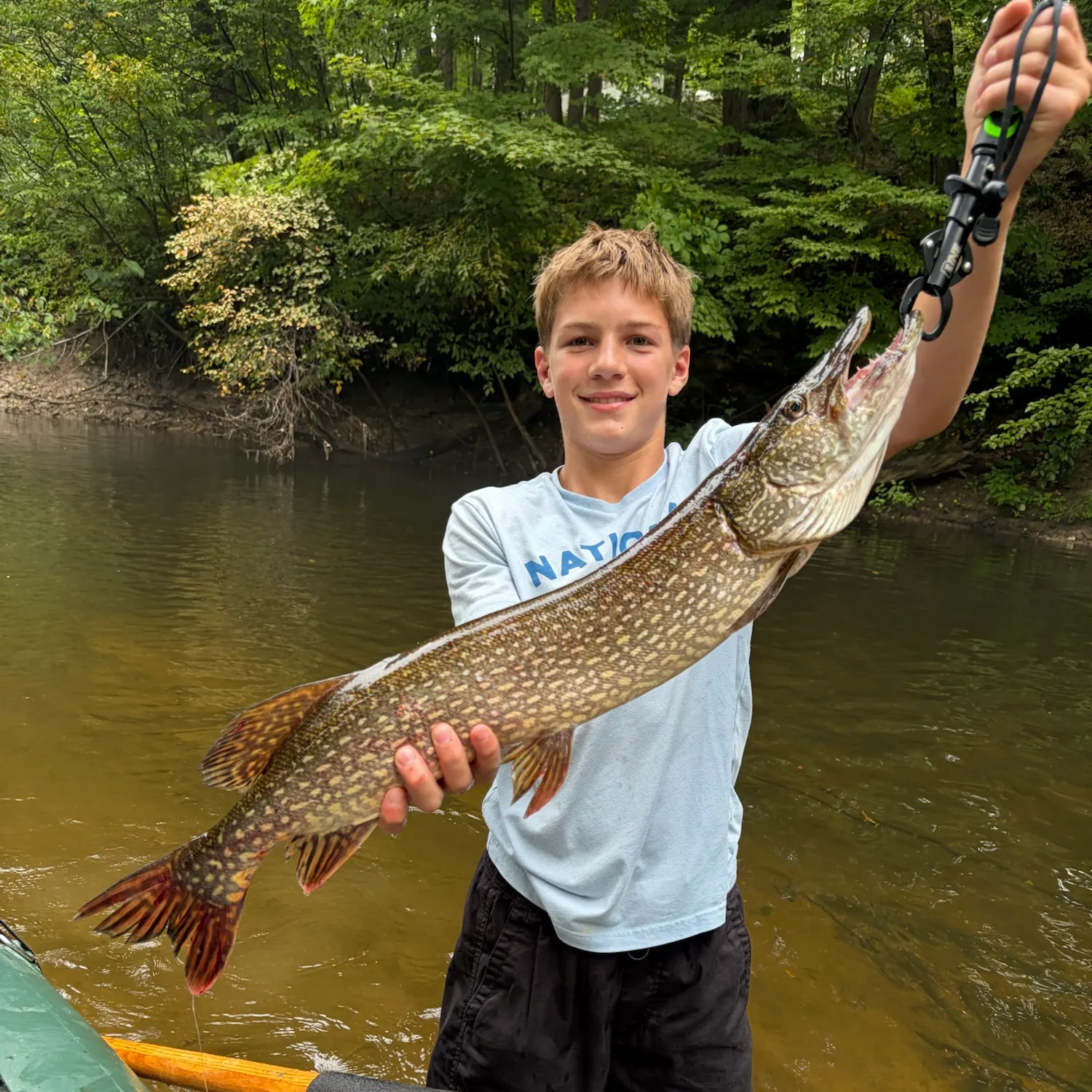 Northern pike caught on Fishbrain