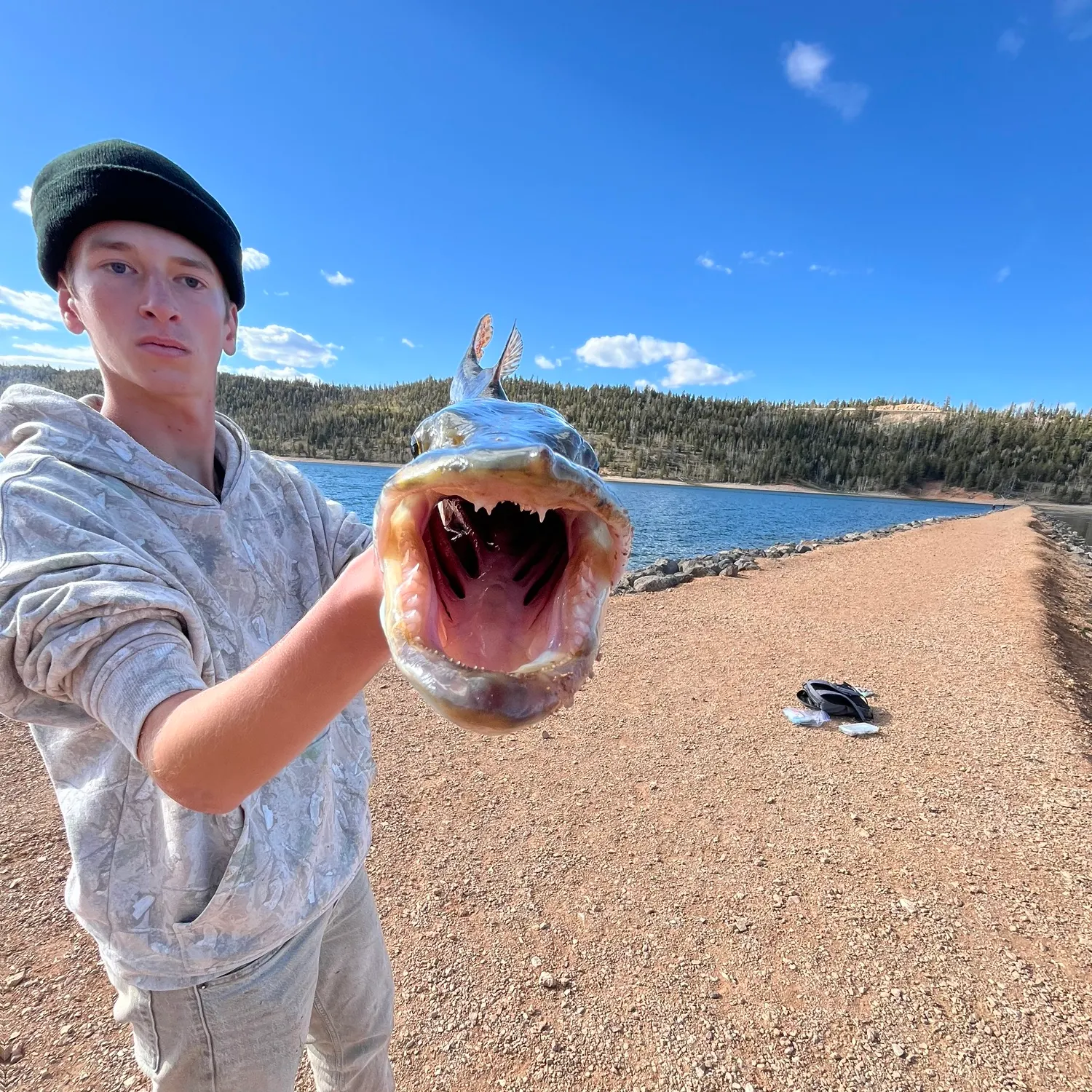 The most recent Tiger muskellunge catches on Fishbrain