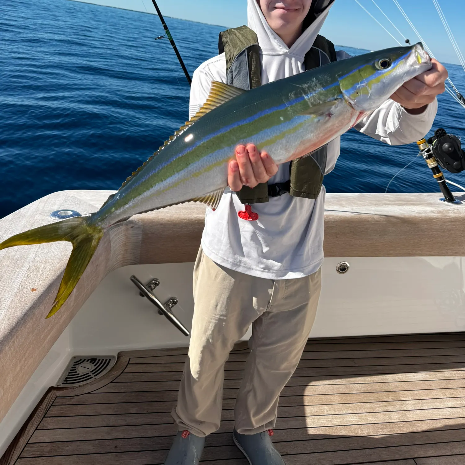 The most recent Rainbow runner catches on Fishbrain