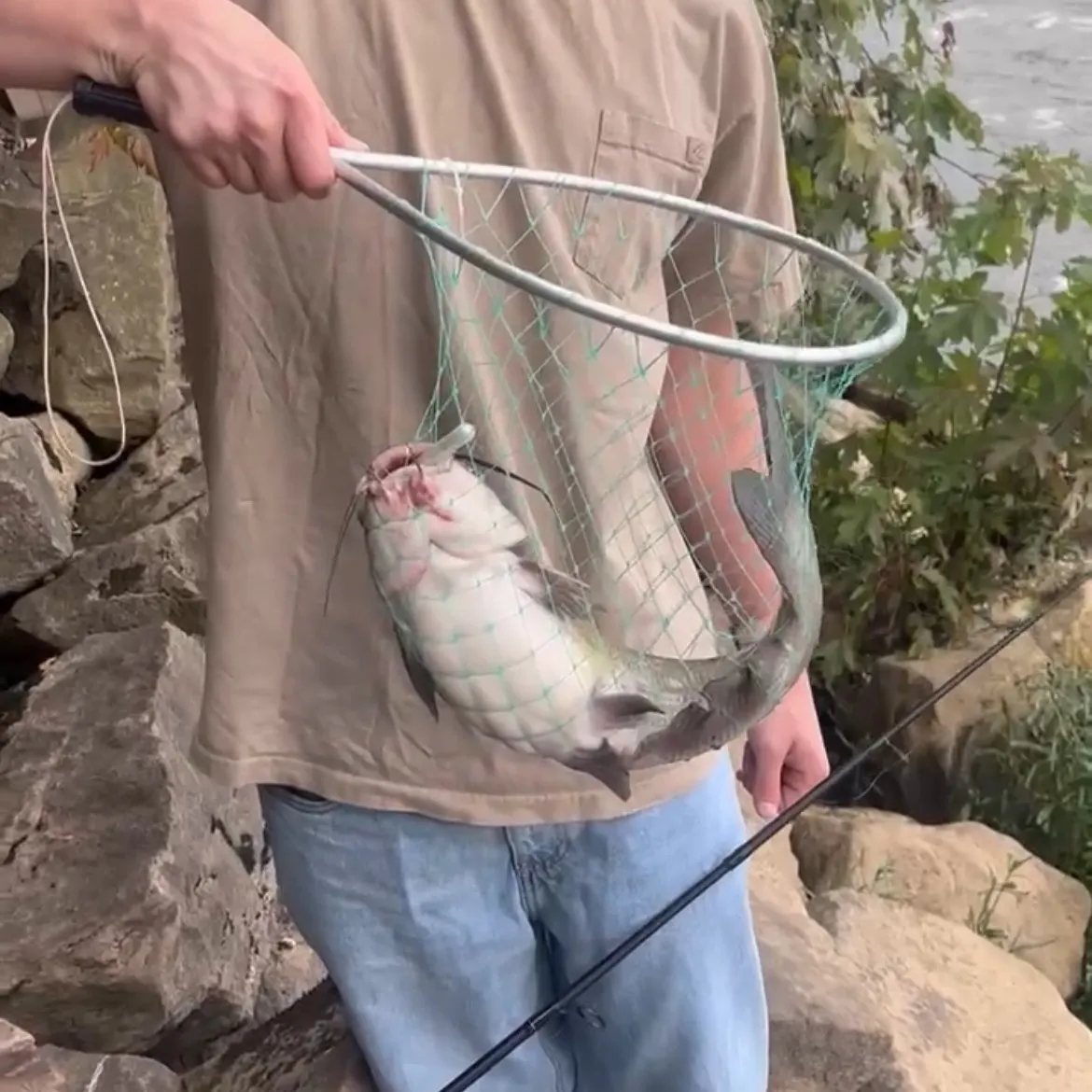 catch