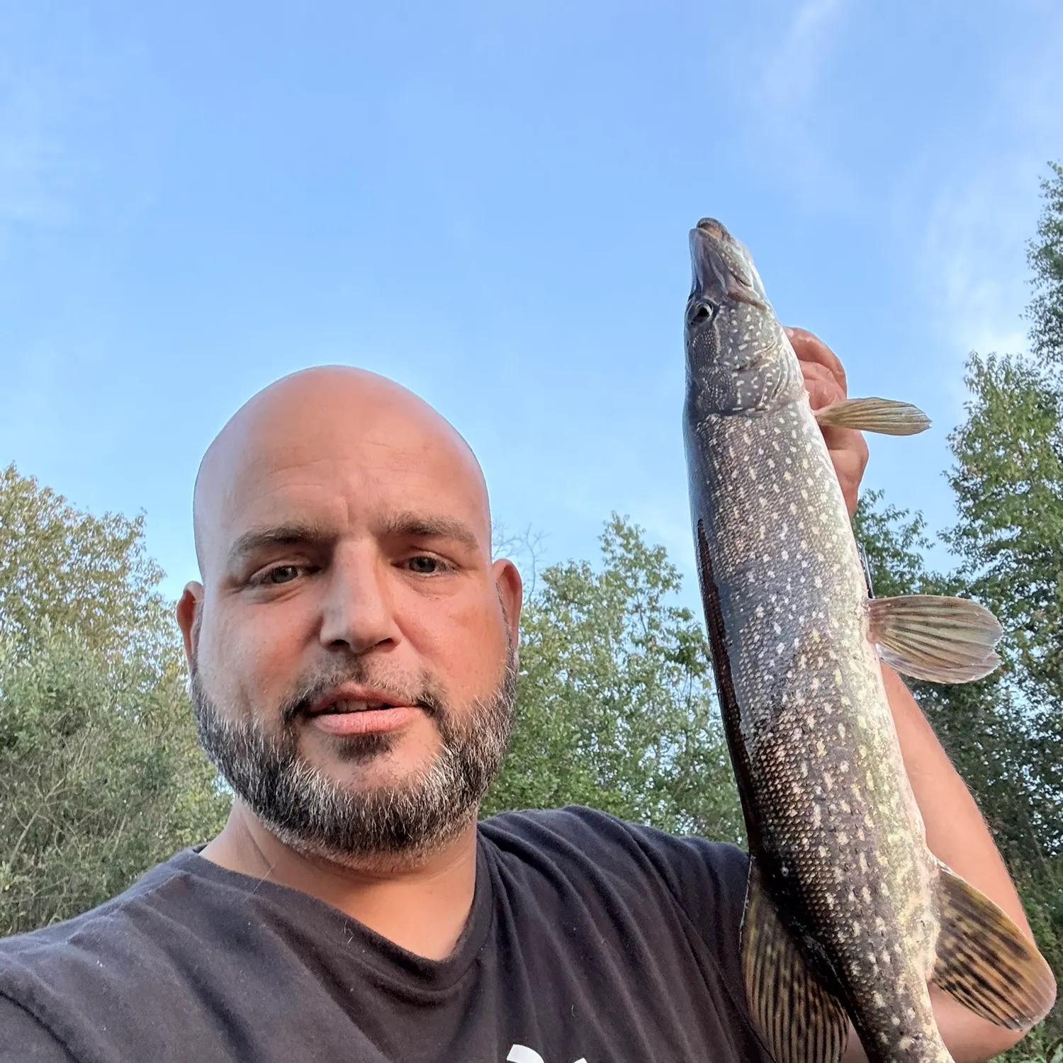 Northern pike caught on Fishbrain