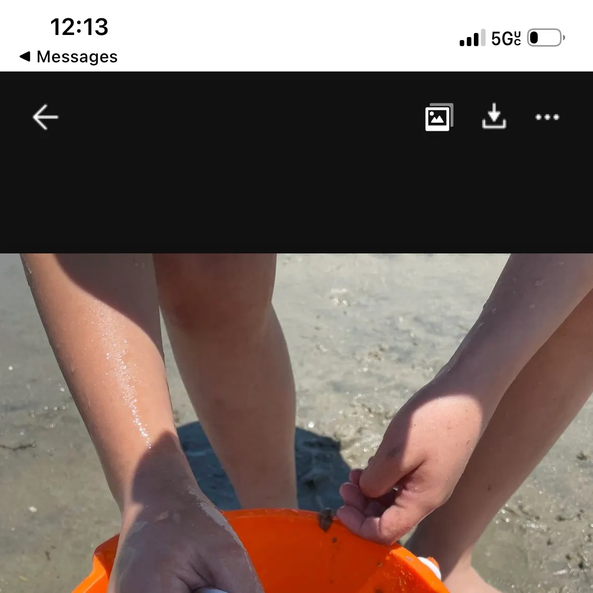 The most recent Pink cusk-eel catches on Fishbrain