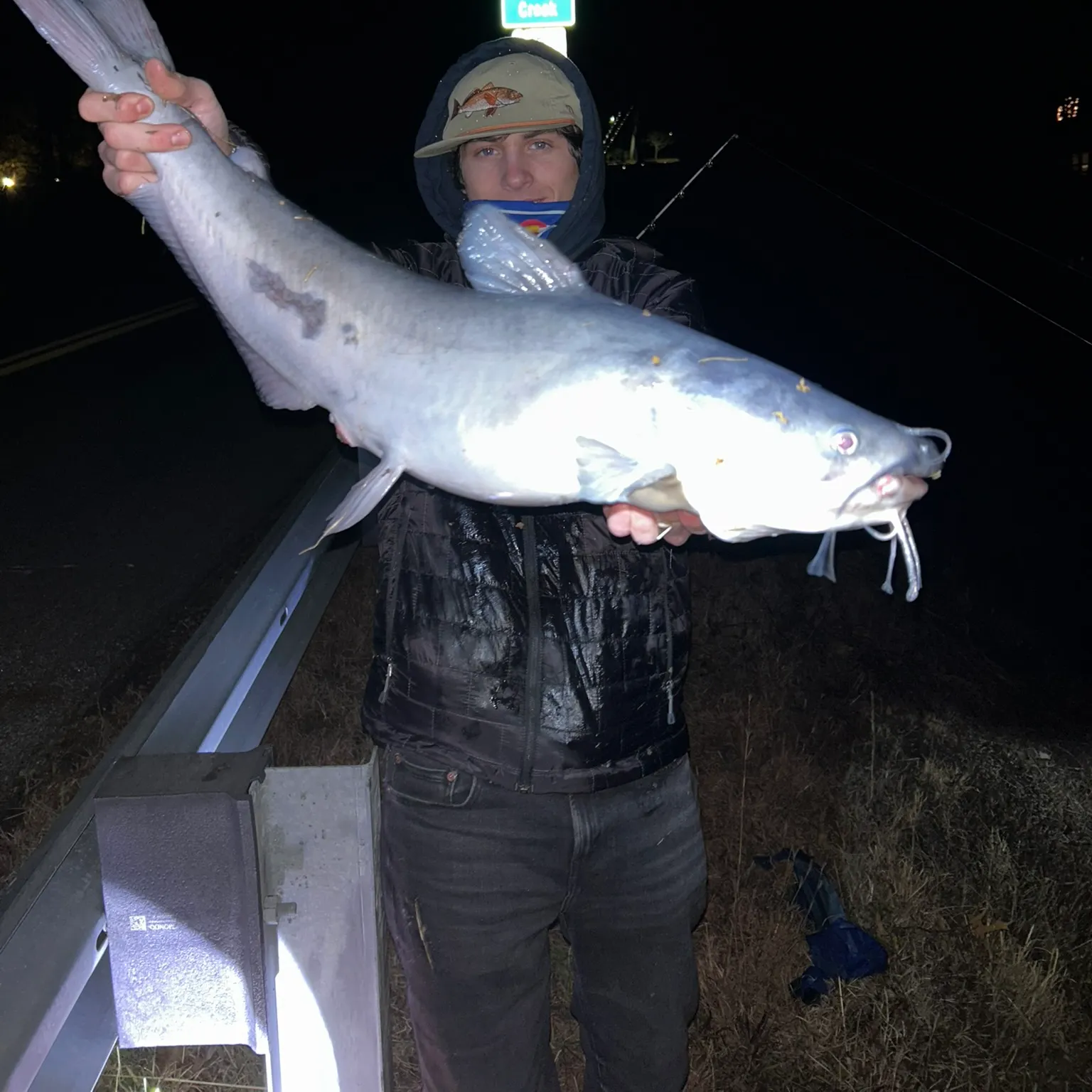 The most recent Blue catfish catches on Fishbrain