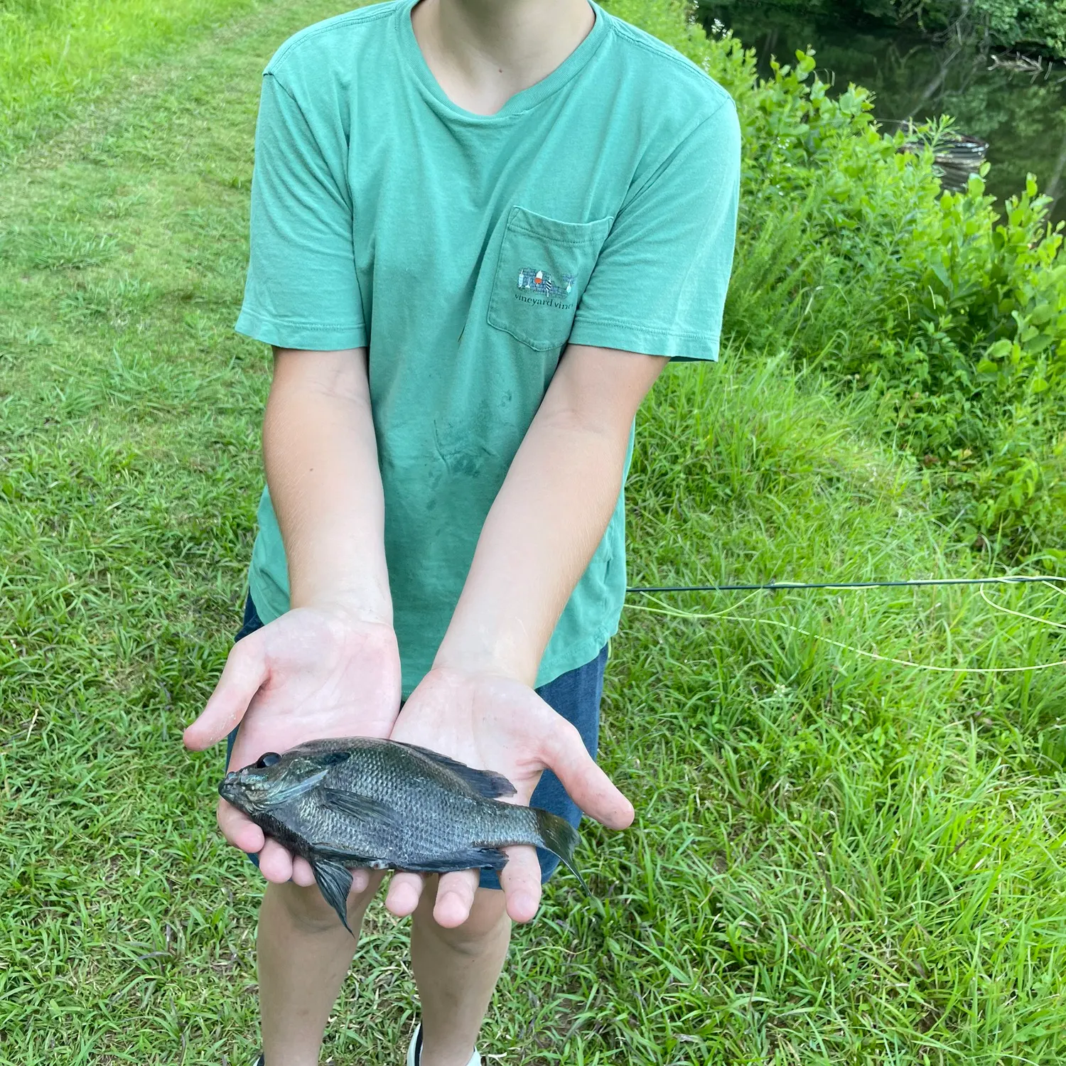 Fish caught on Fishbrain