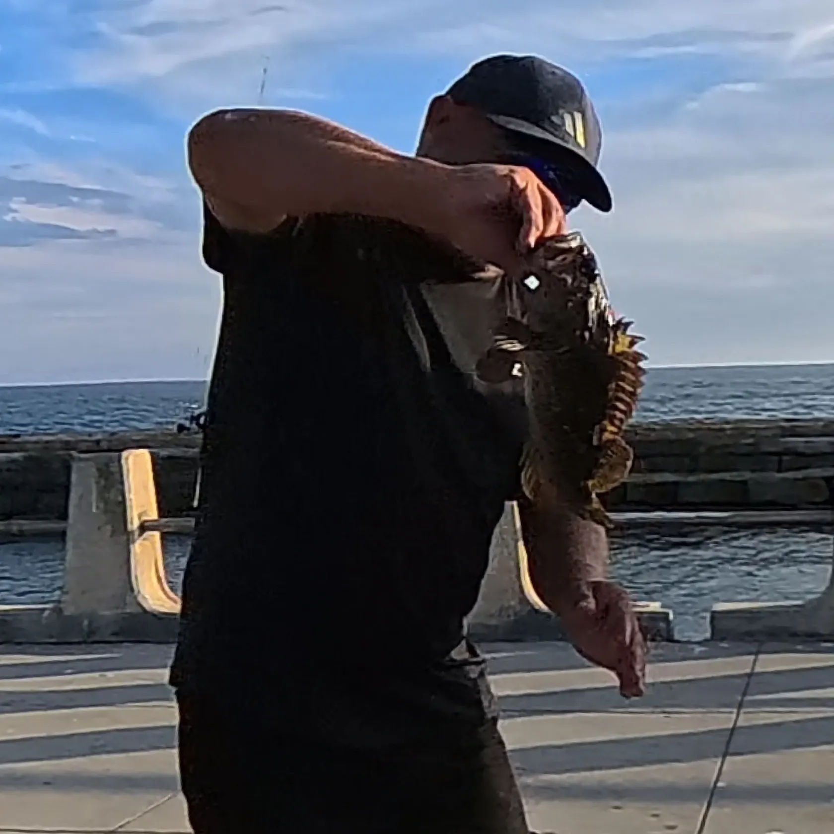 Cabezon caught on Fishbrain