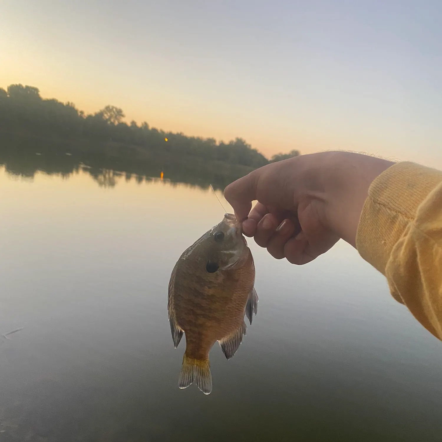 angler catch