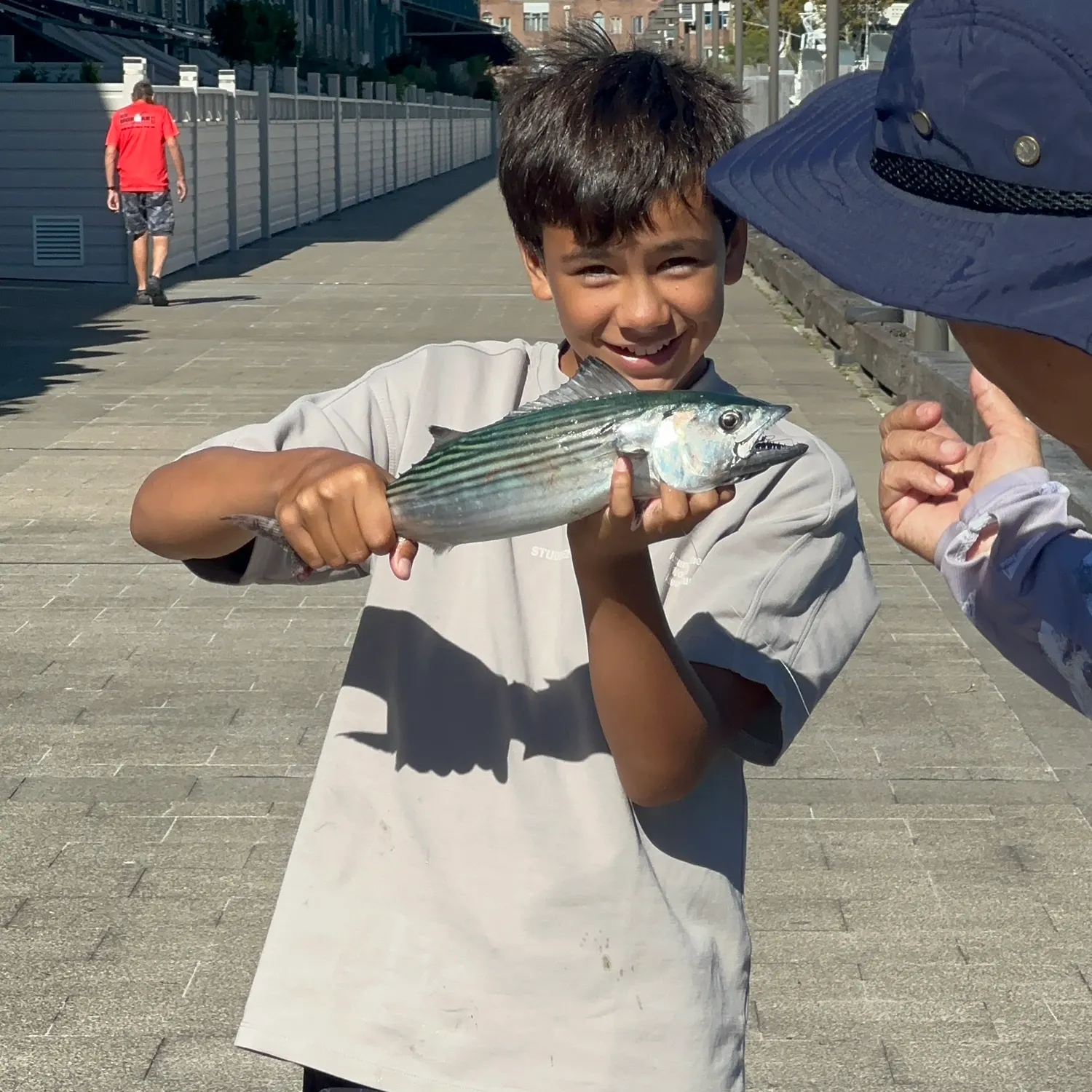 The most recent Bluefish catches on Fishbrain