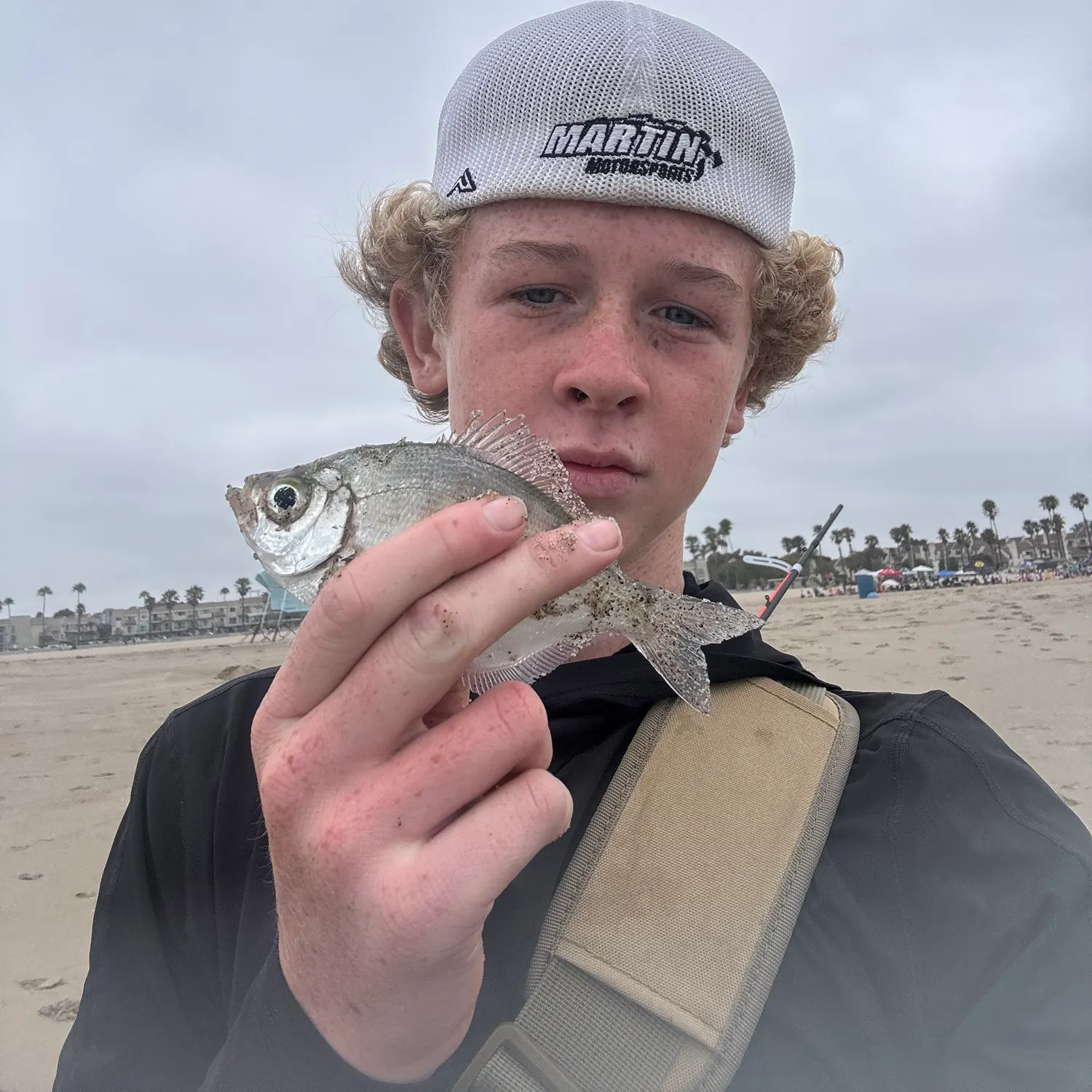 The most recent Walleye surfperch catches on Fishbrain