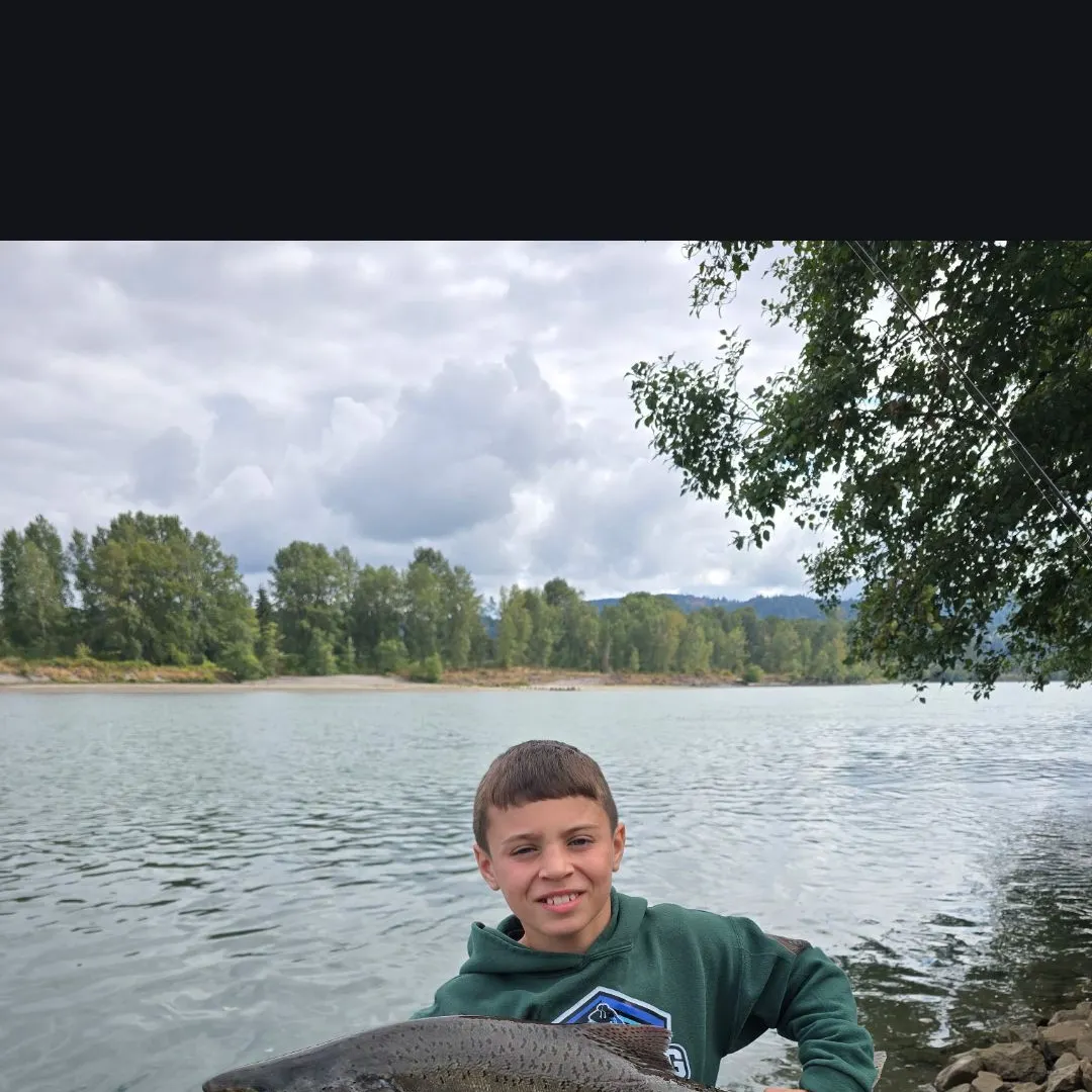 Chinook salmon caught on Fishbrain