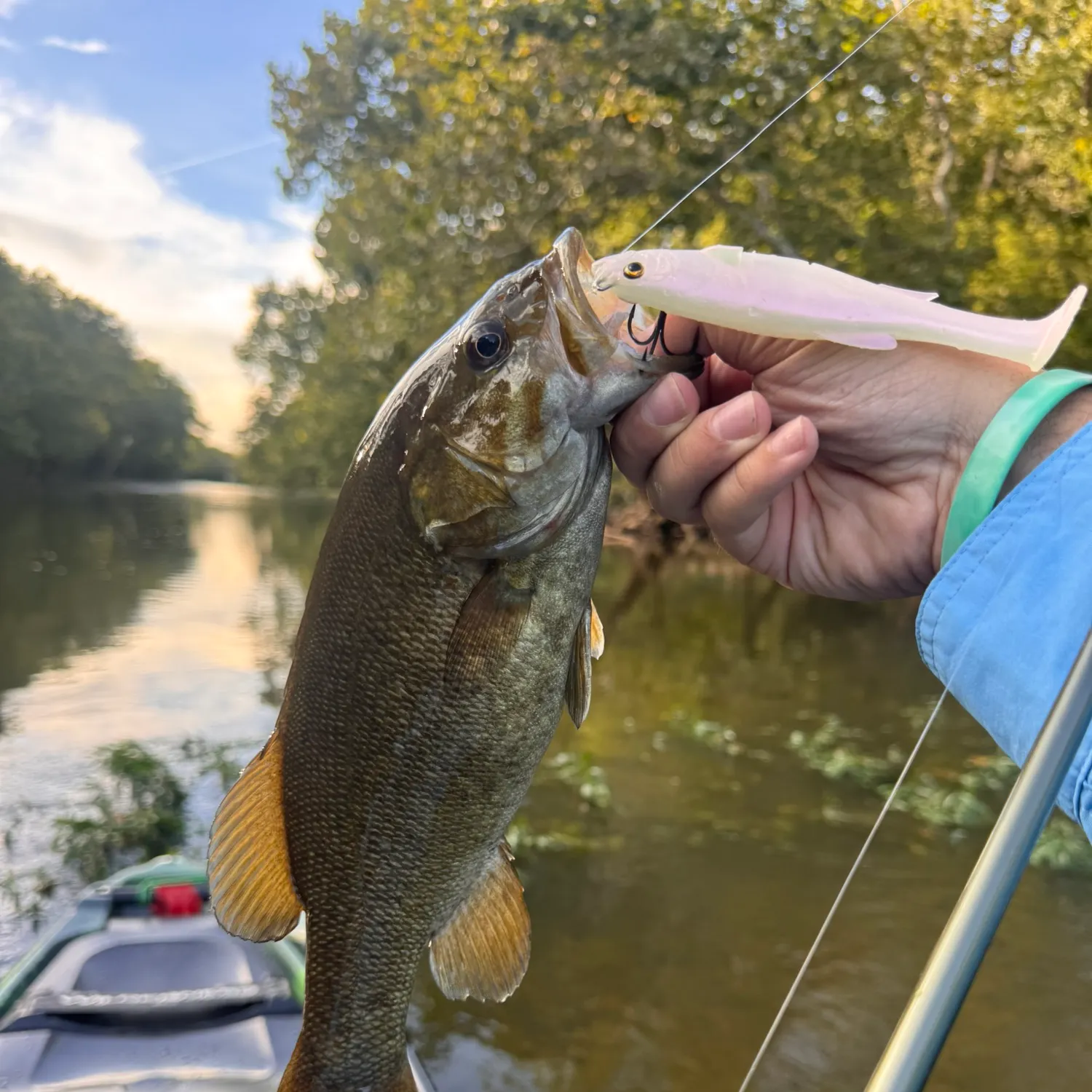 Smallmouth bass caught on Fishbrain