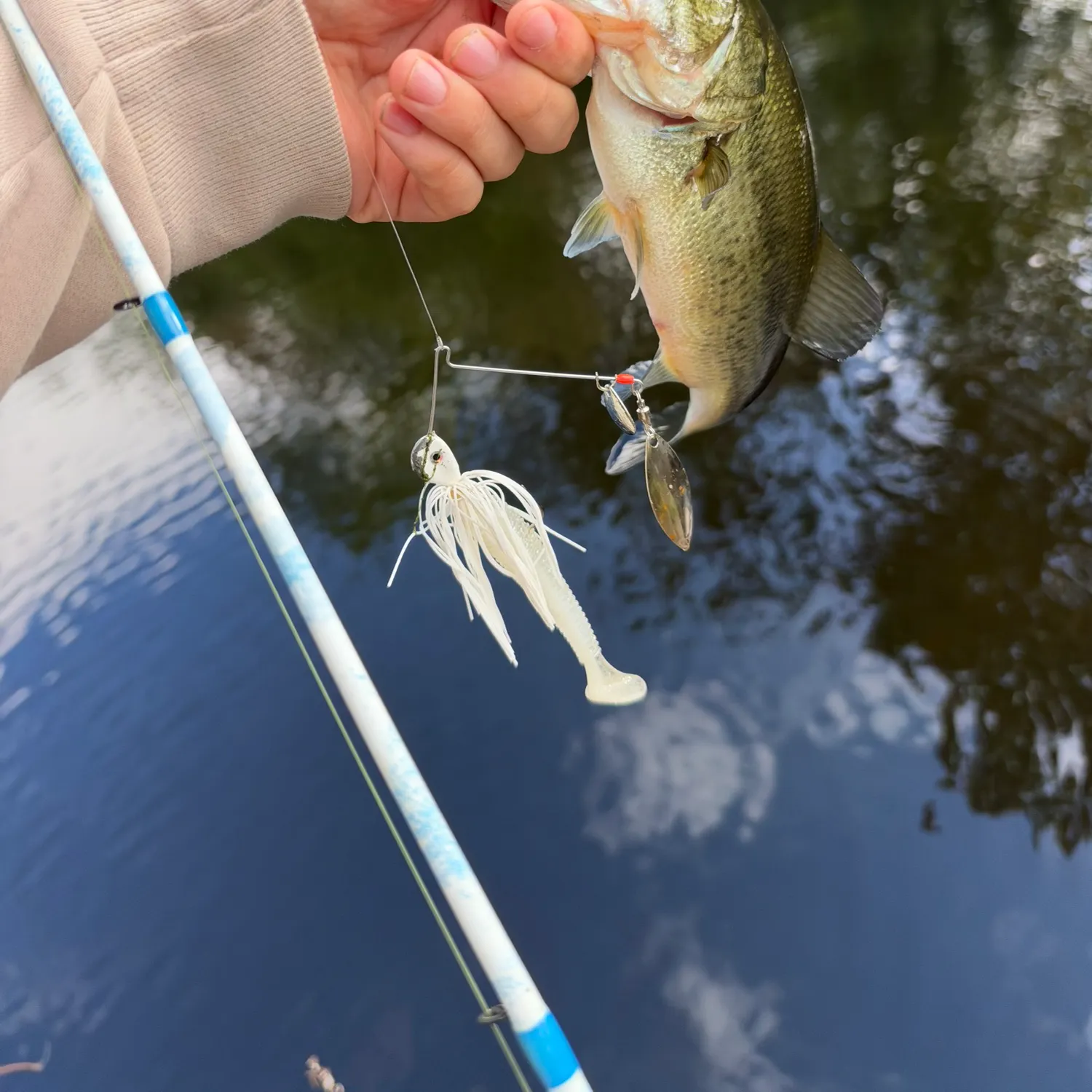Largemouth bass caught on Fishbrain