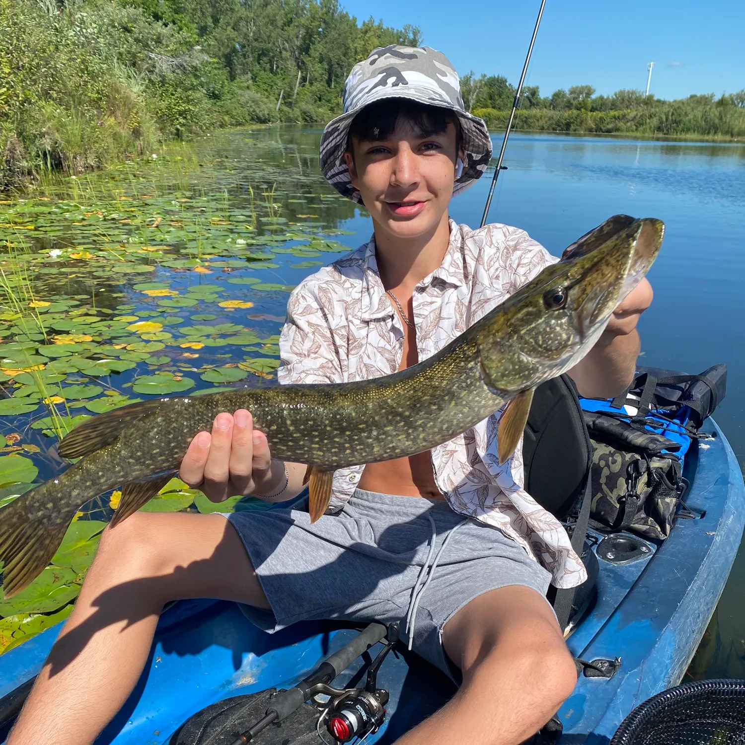 Northern pike caught on Fishbrain