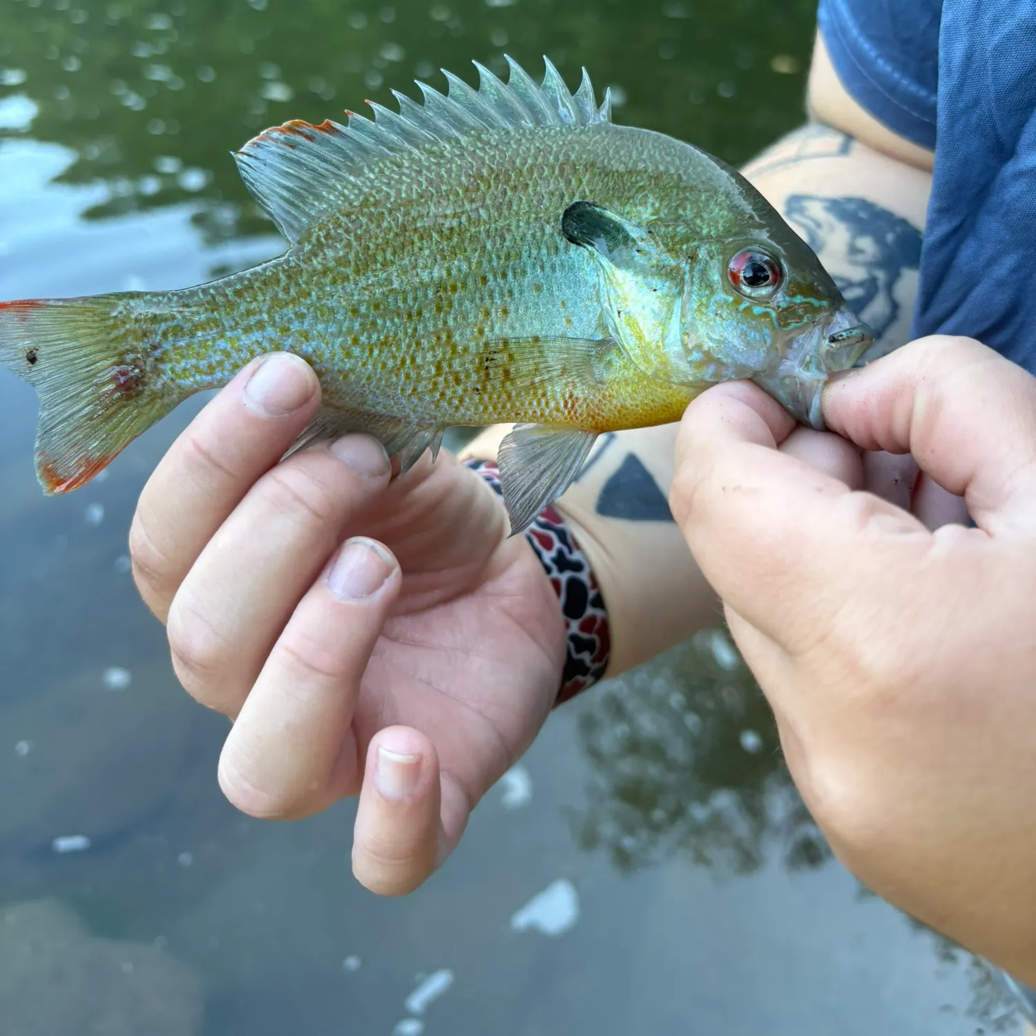 catch