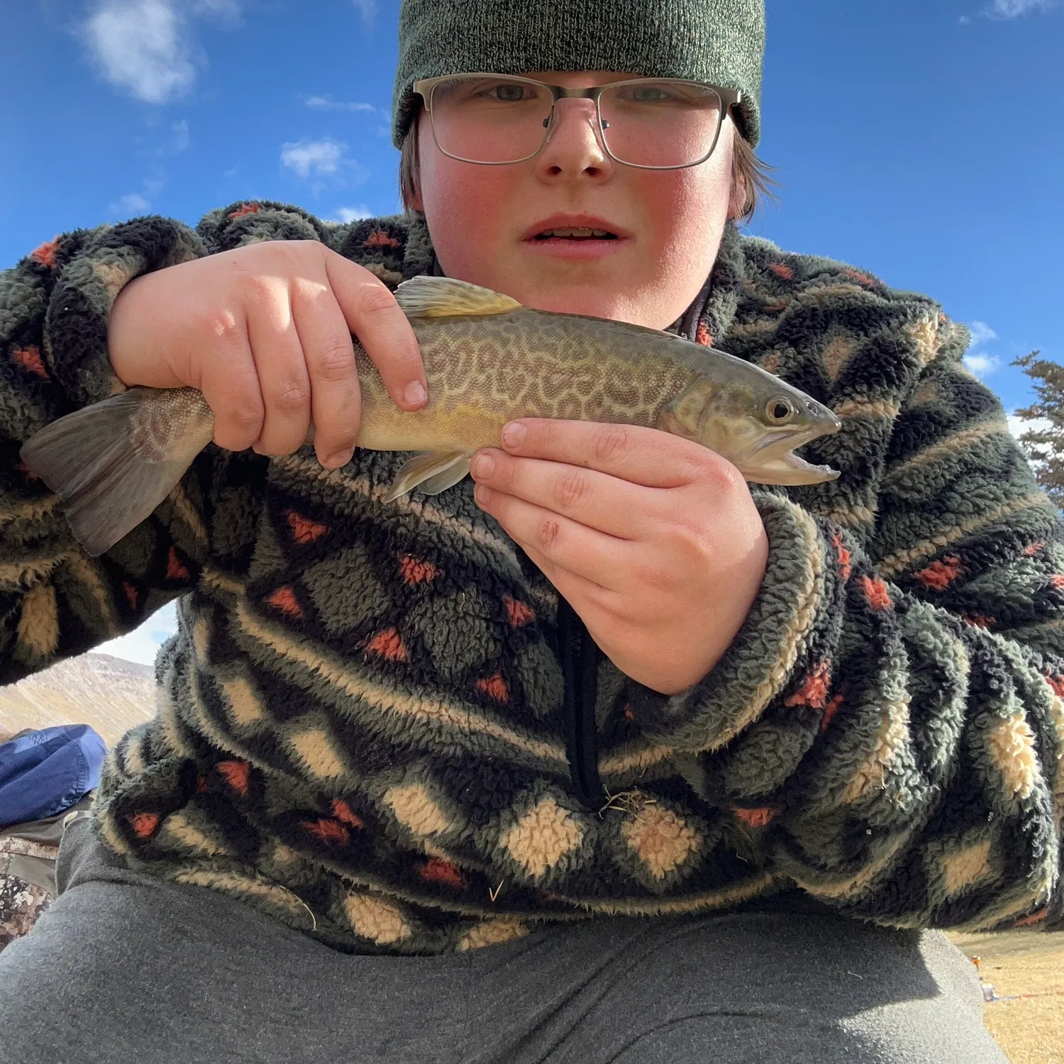 The most recent Tiger trout catches on Fishbrain
