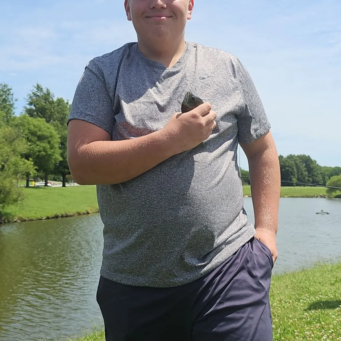 The most recent Shiner perch catches on Fishbrain