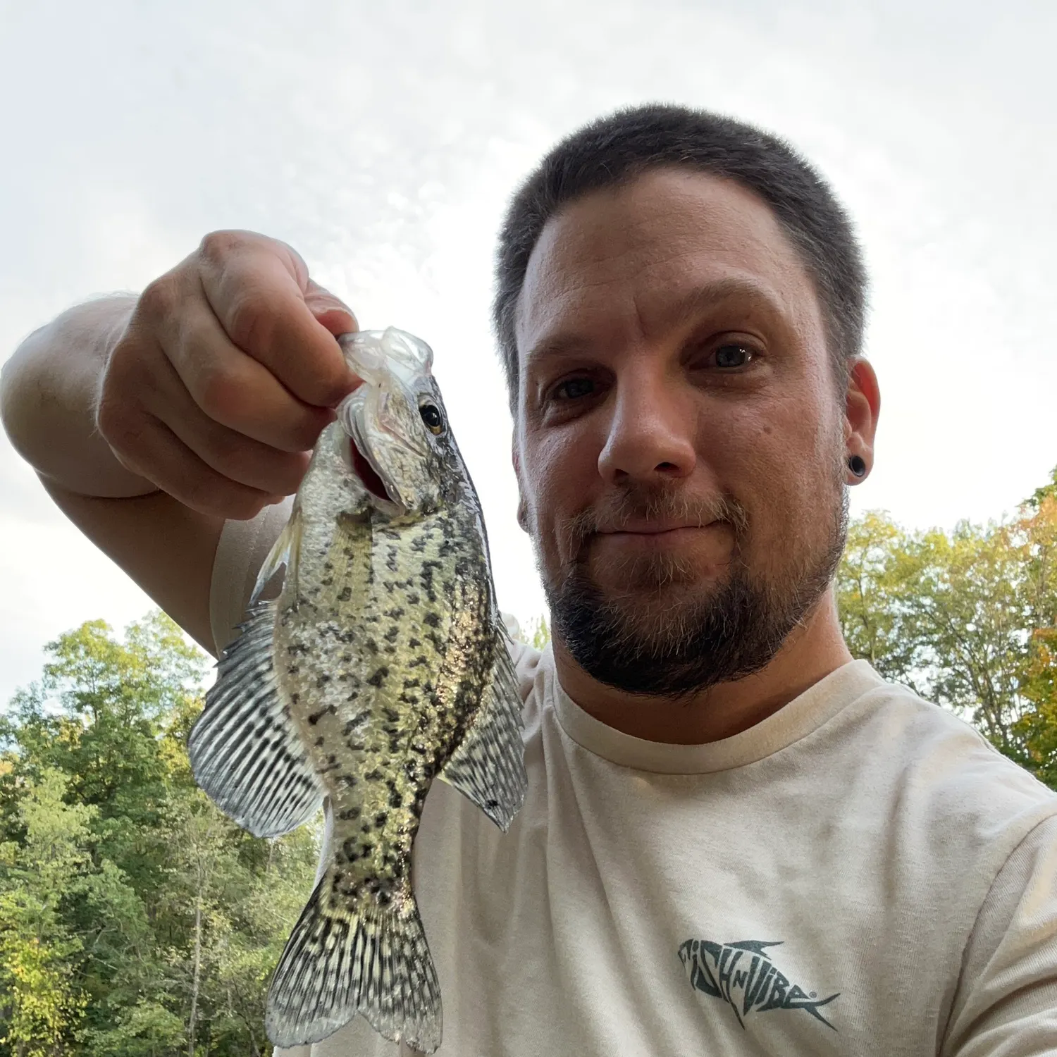 Black crappie caught on Fishbrain