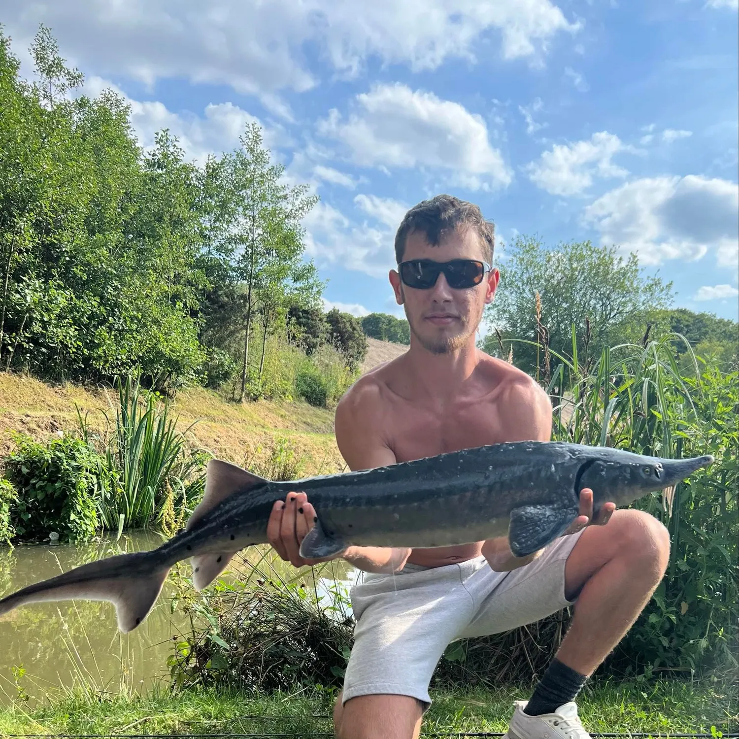 The most recent European sturgeon catches on Fishbrain