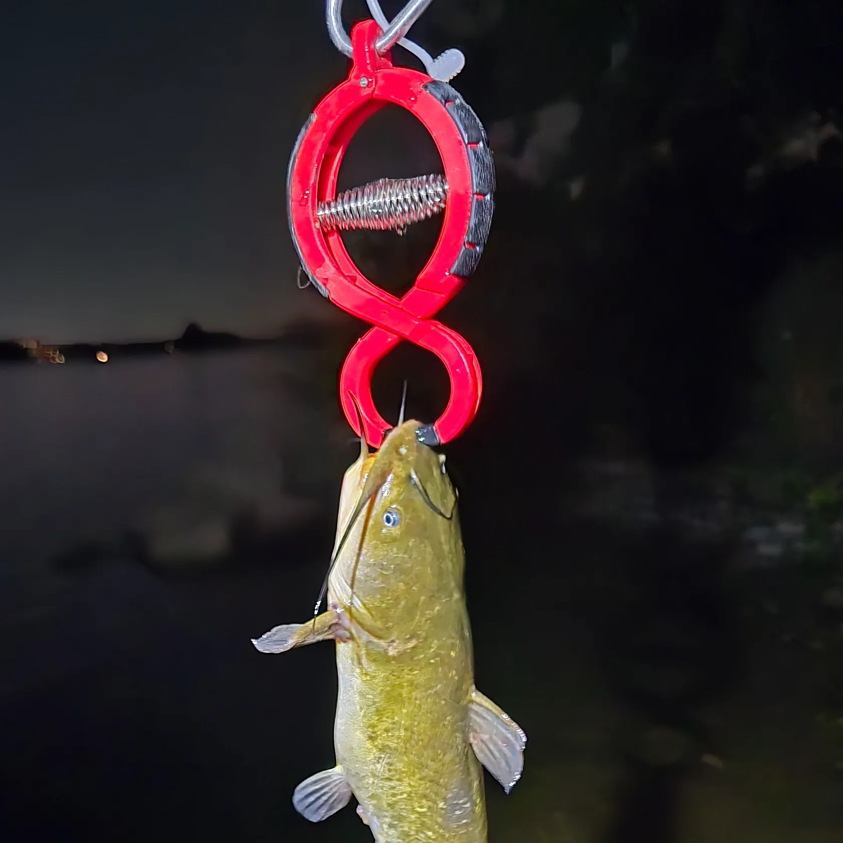 Yellow bullhead caught on Fishbrain