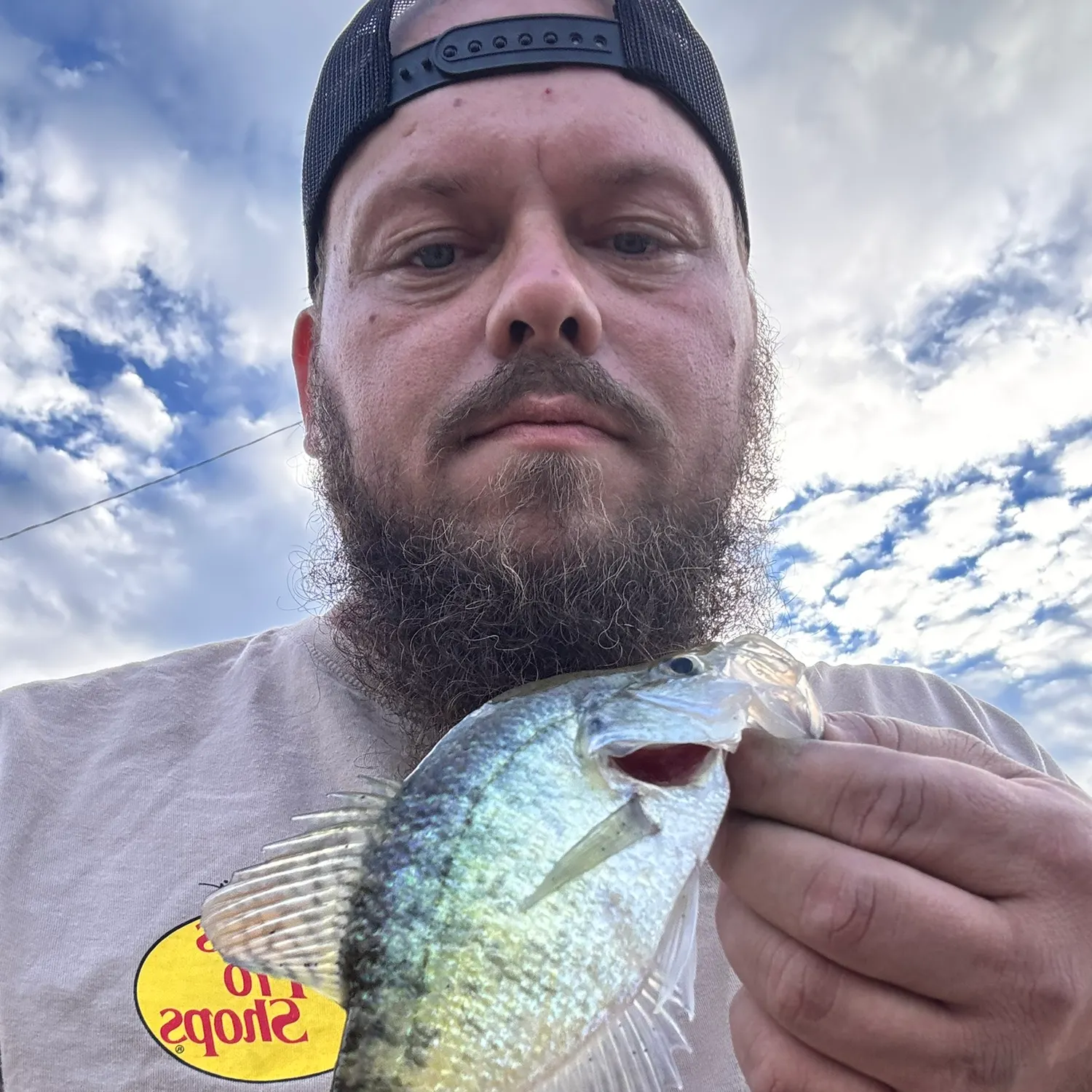 White crappie caught on Fishbrain