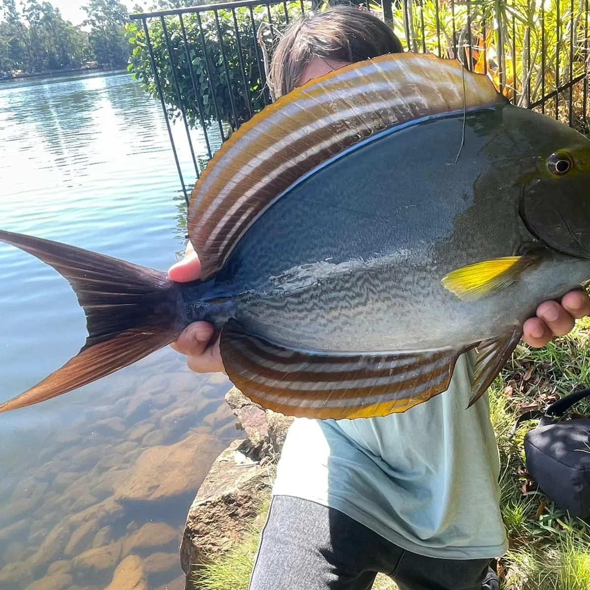 The most recent Eyestripe surgeonfish catches on Fishbrain