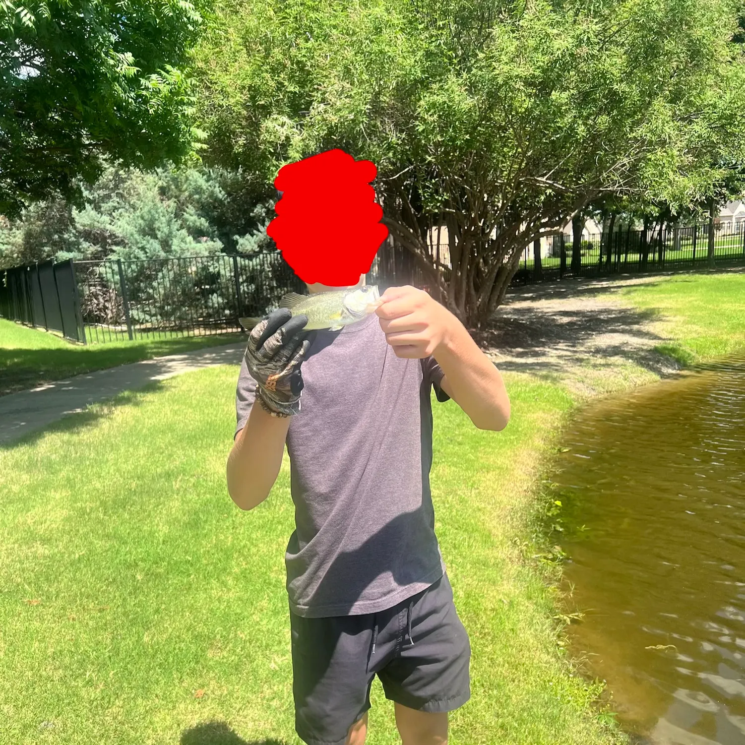 The most recent F1 bass catches on Fishbrain