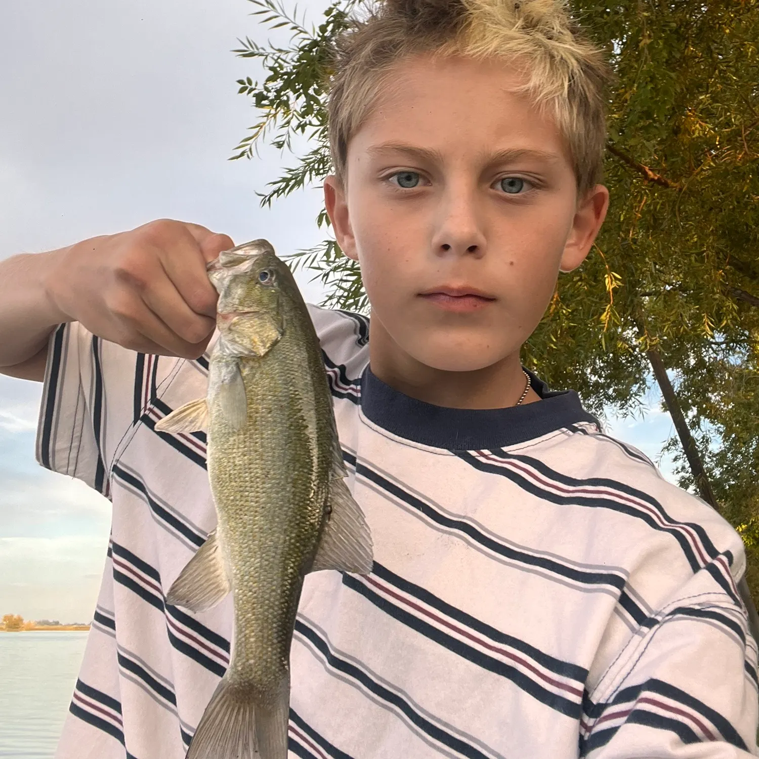 Smallmouth bass caught on Fishbrain