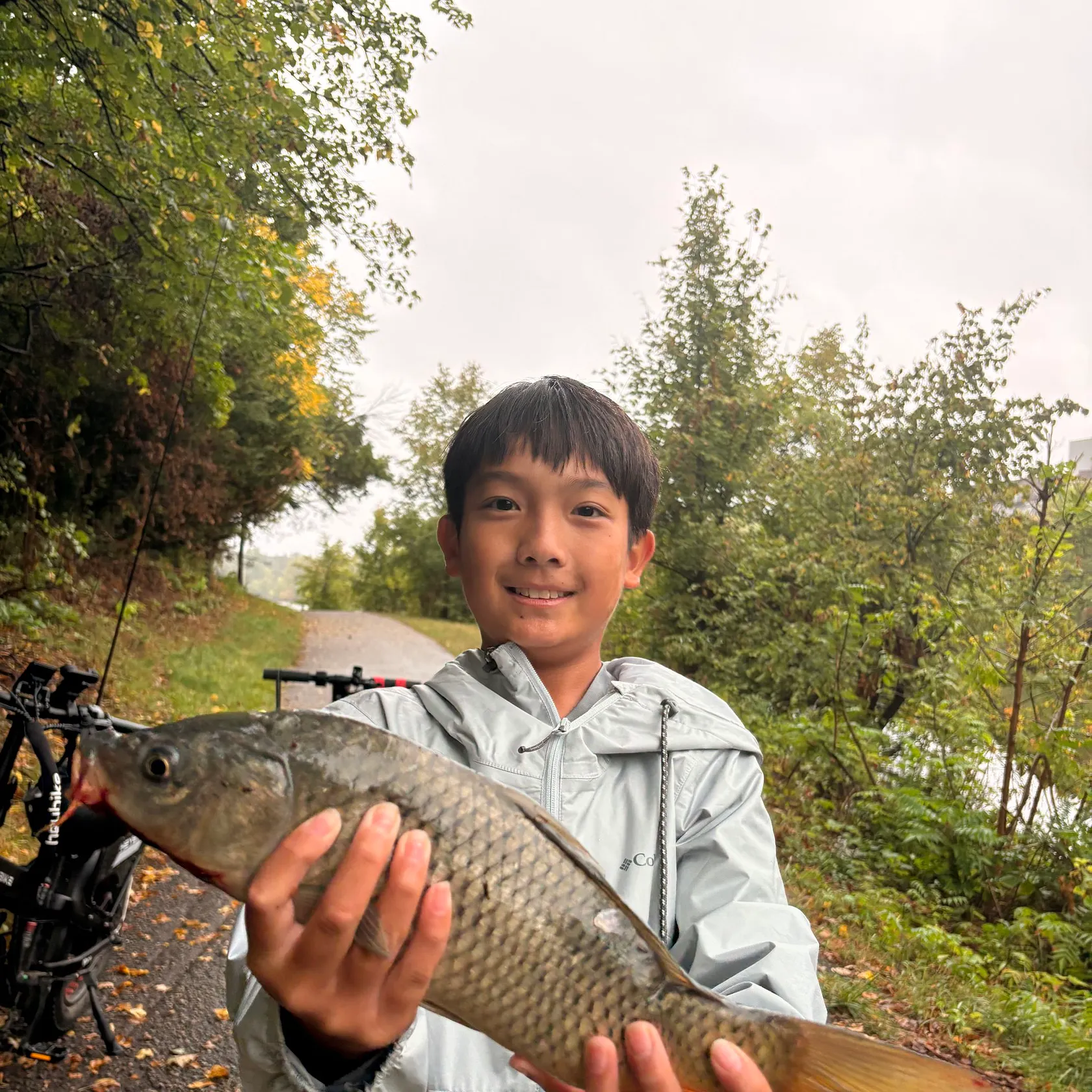 Common carp caught on Fishbrain