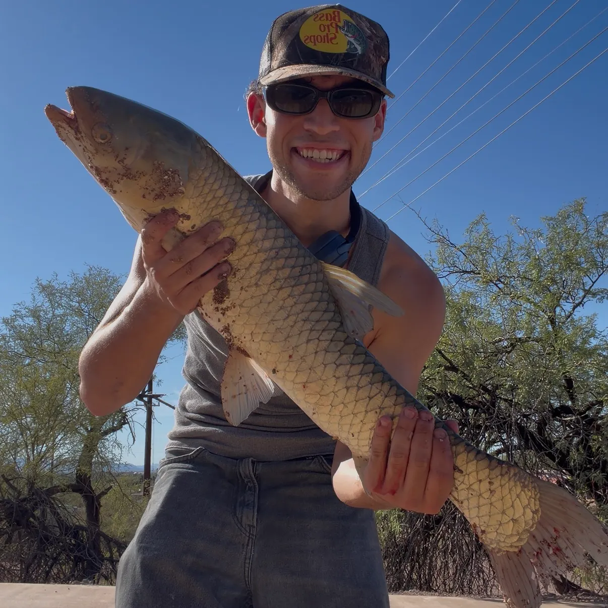 Grass carp caught on Fishbrain