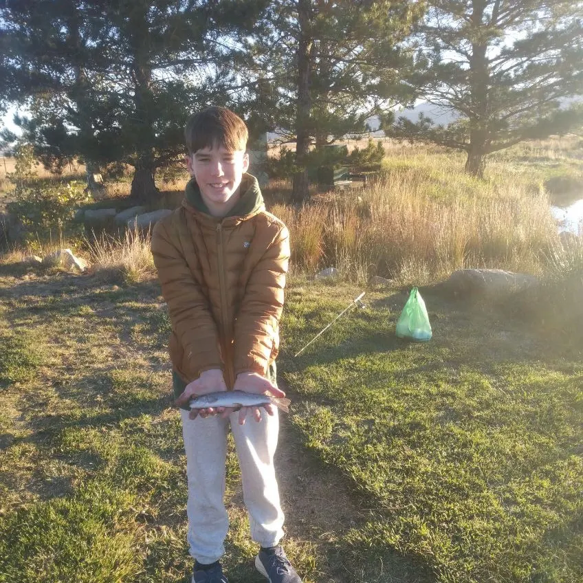 Rainbow trout caught on Fishbrain