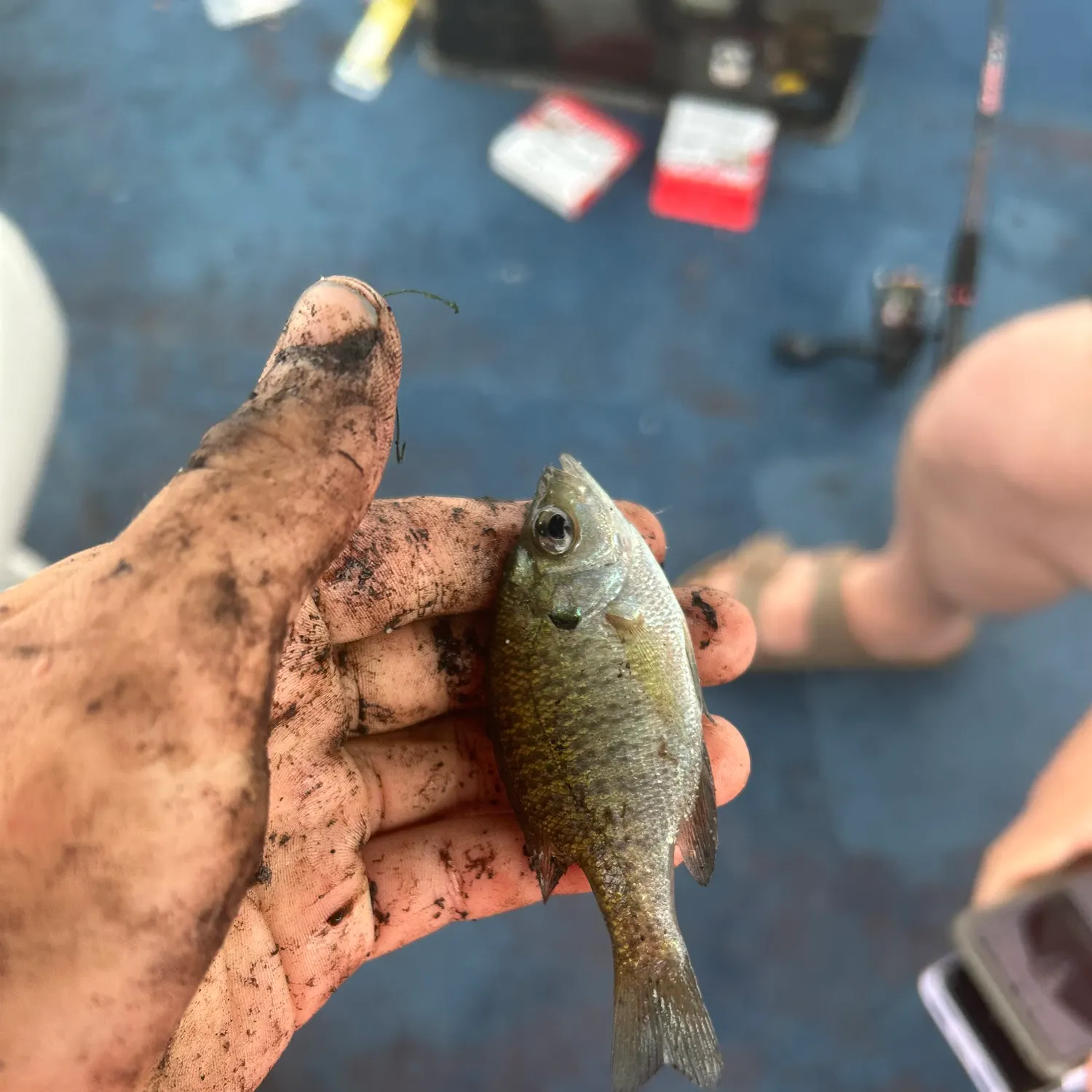 catch