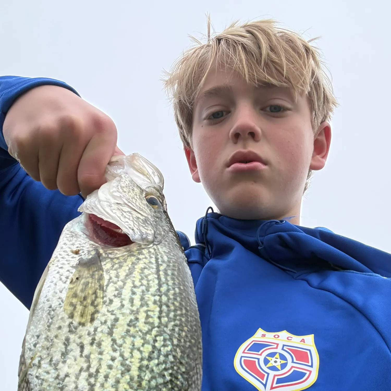 Black crappie caught on Fishbrain