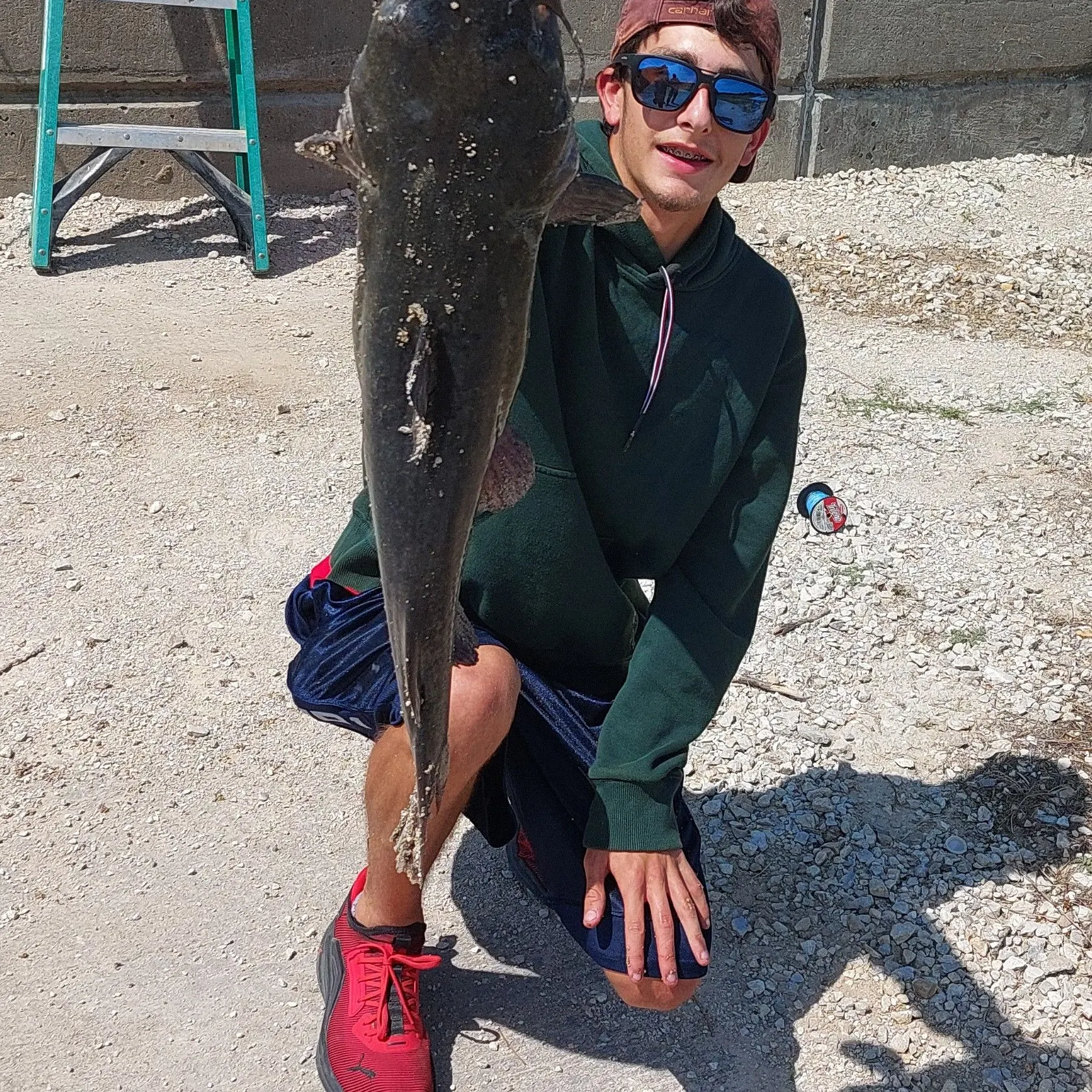 Flathead catfish caught on Fishbrain